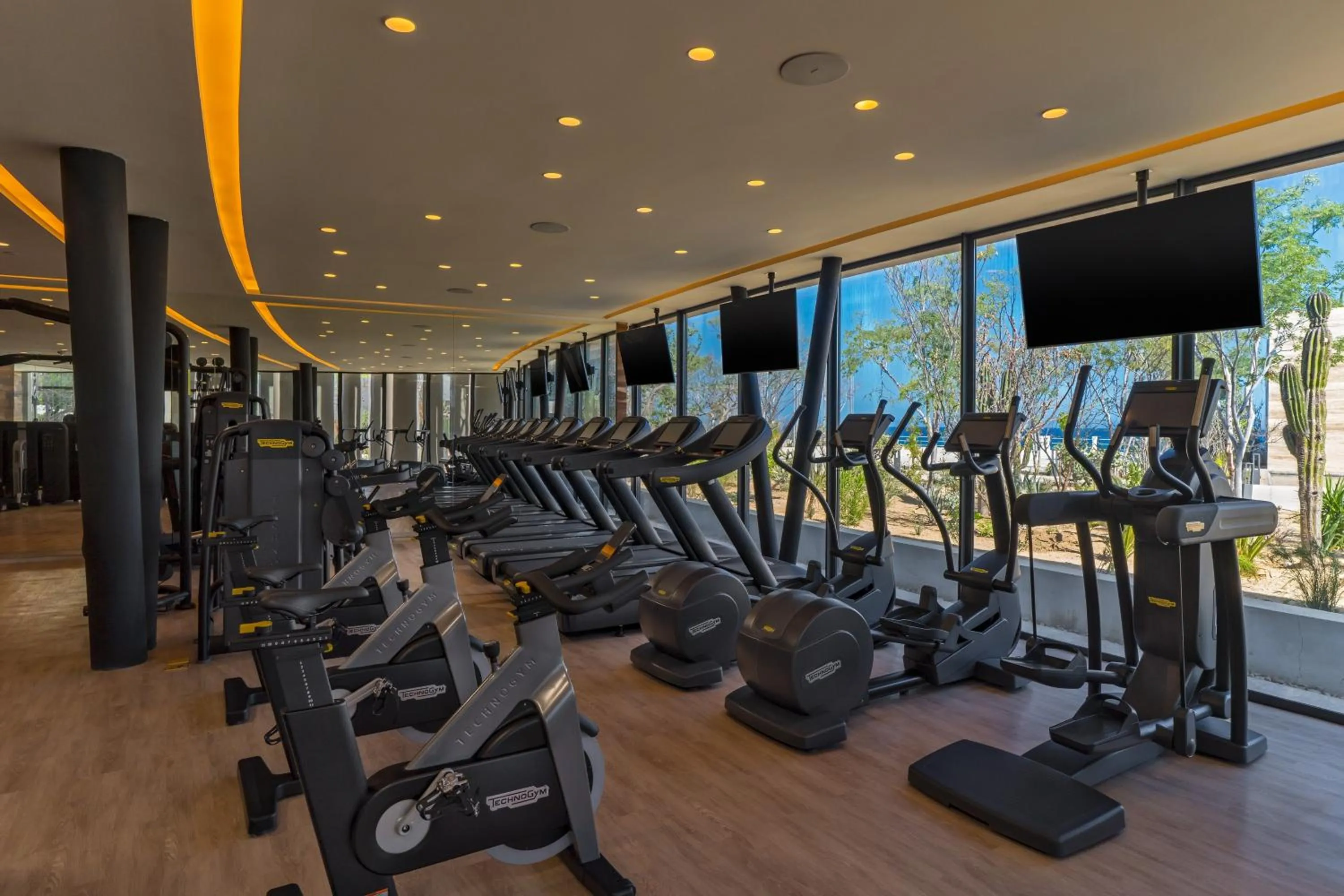 Fitness centre/facilities in The Residences at Solaz, a Luxury Collection Resort, Los Cabos