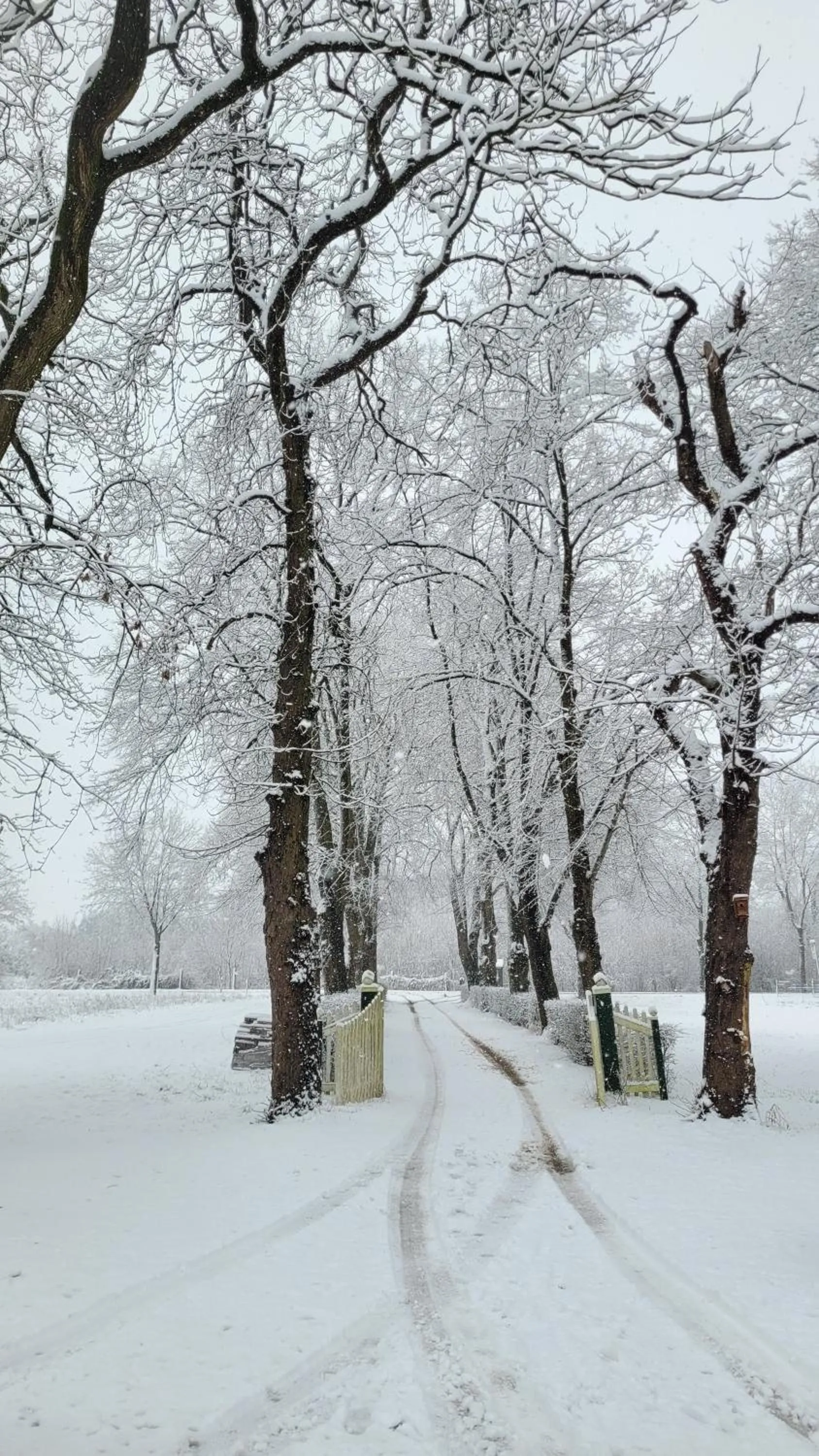 Area and facilities in Hotel Lethehof