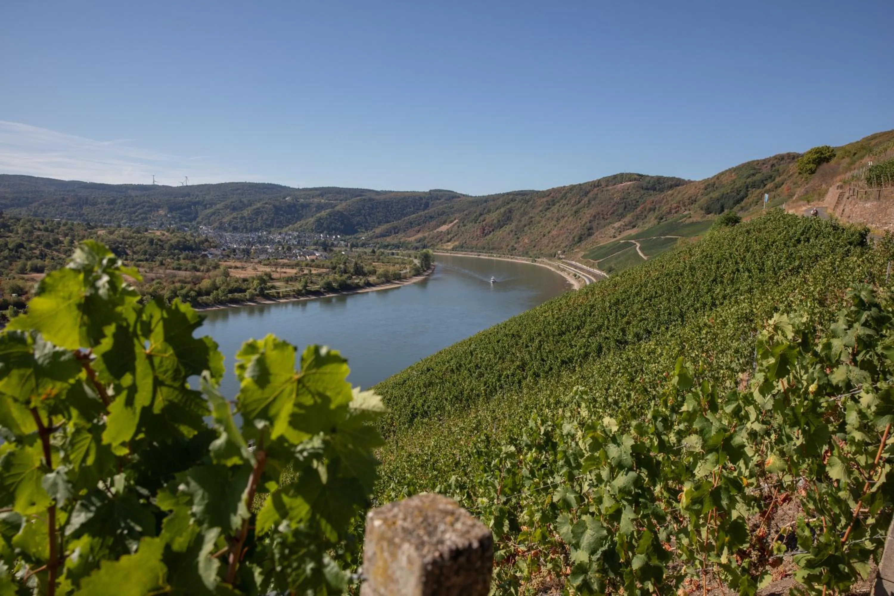Nearby landmark in Baudobriga Rheinhotel