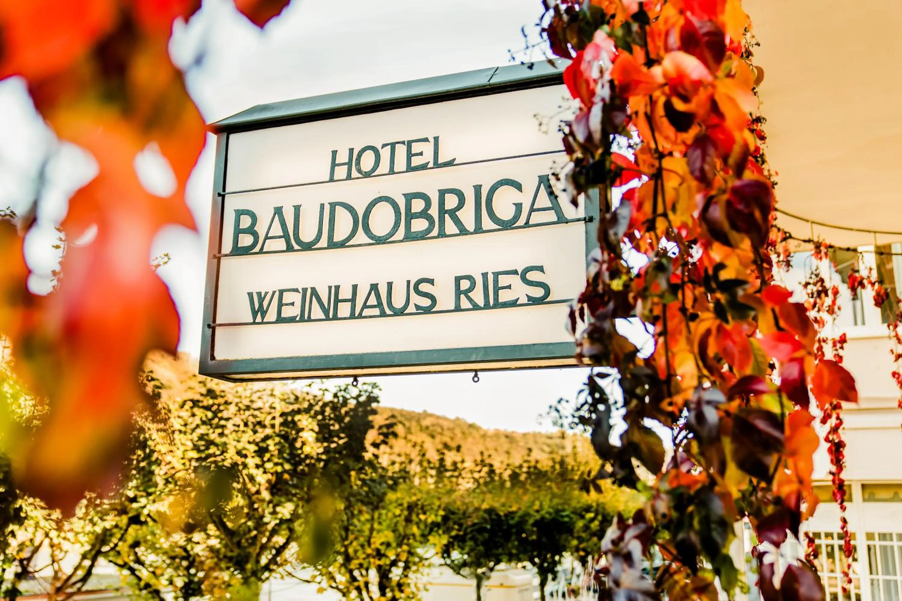 View (from property/room) in Baudobriga Rheinhotel