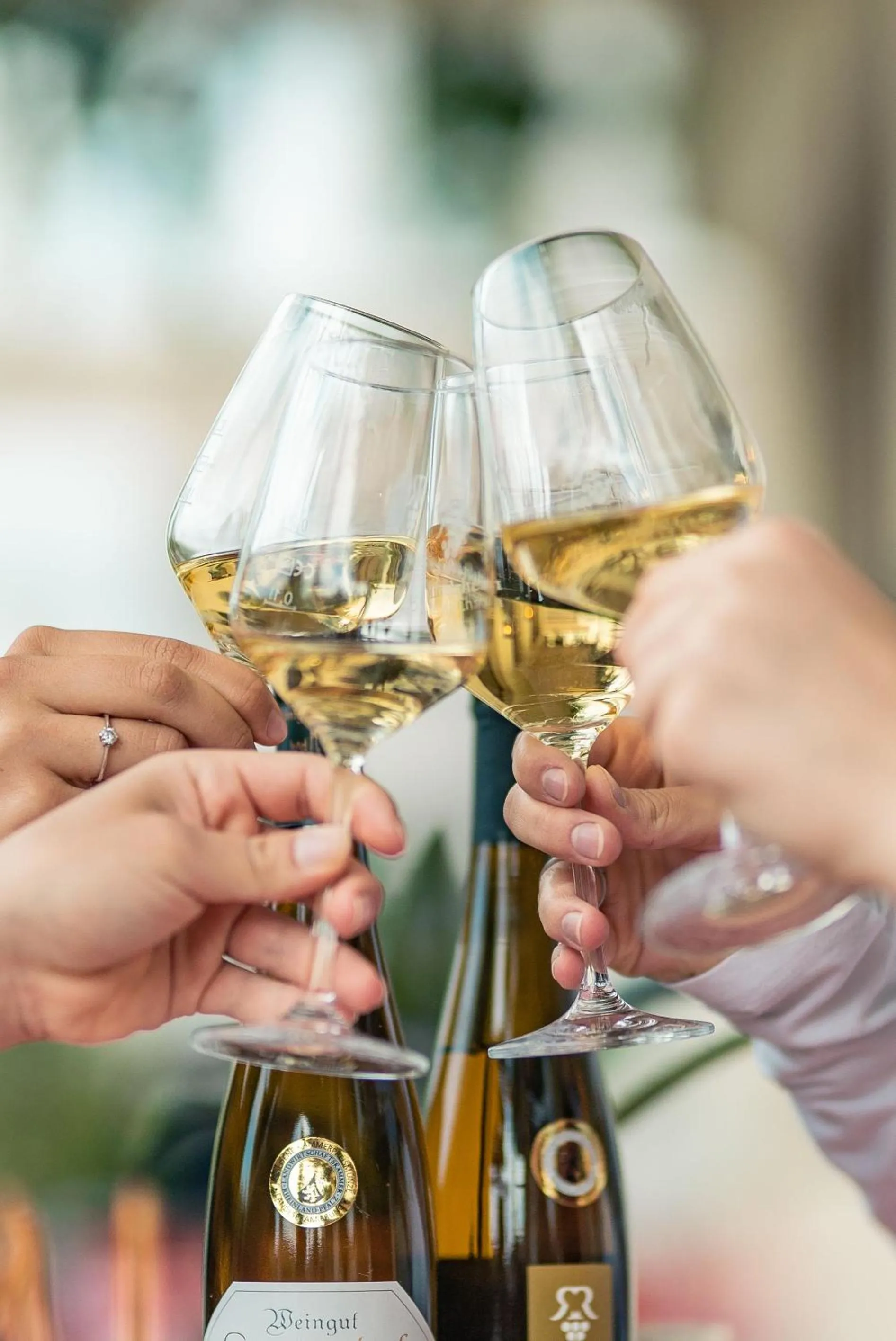 Food and drinks in Baudobriga Rheinhotel