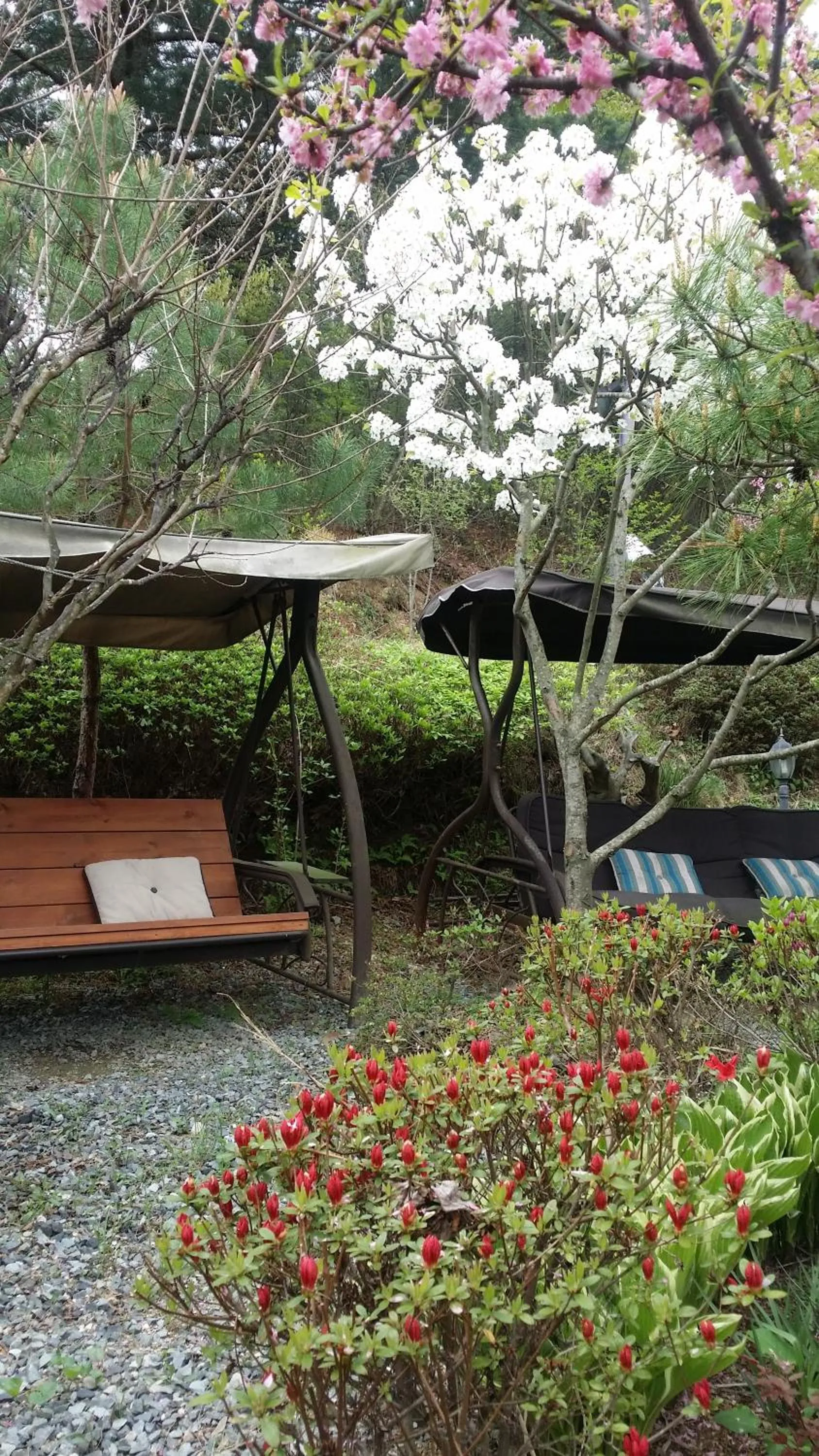 Olive Vanilla Pension