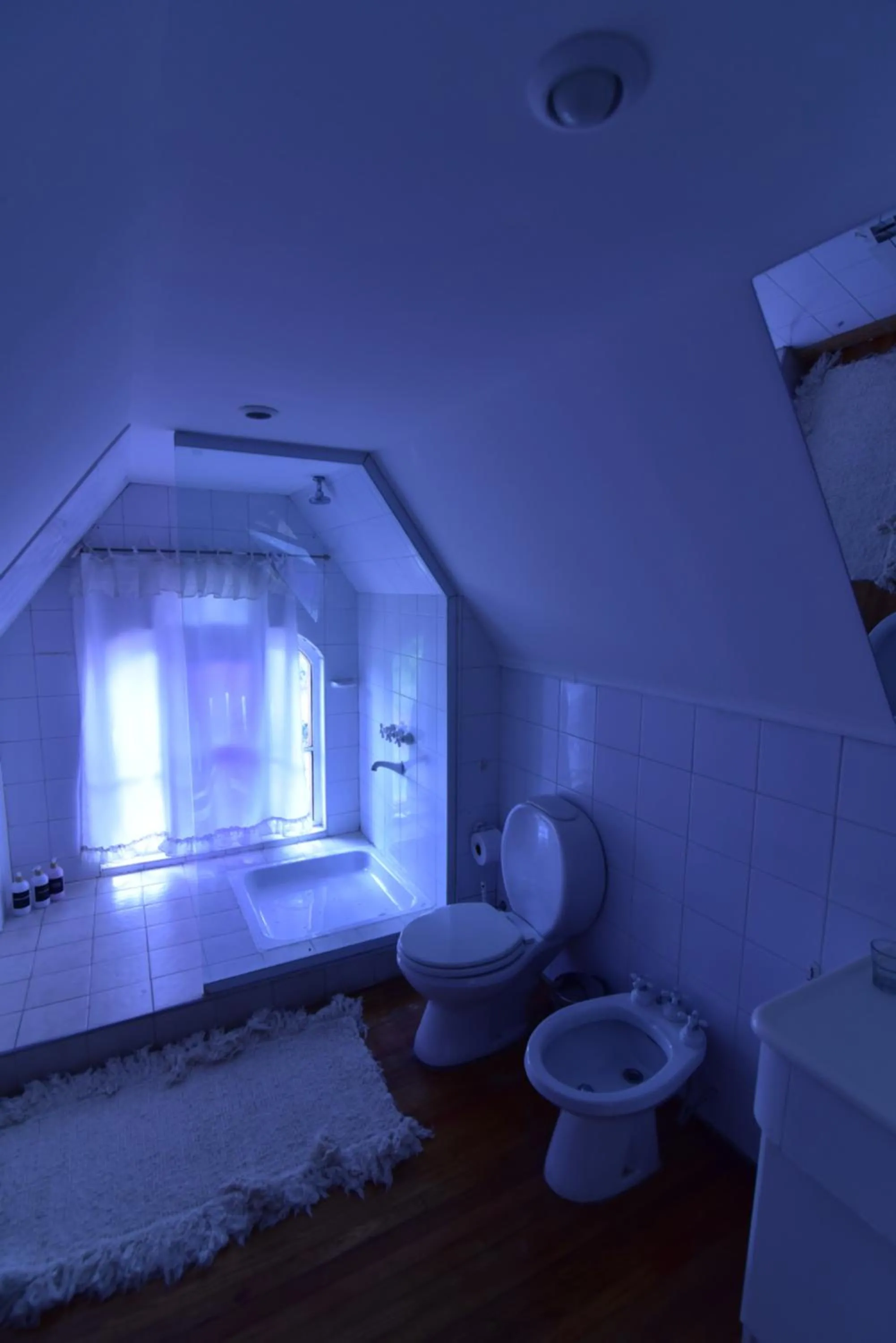 Double Room with Private Bathroom in Villa Victoria Lodge