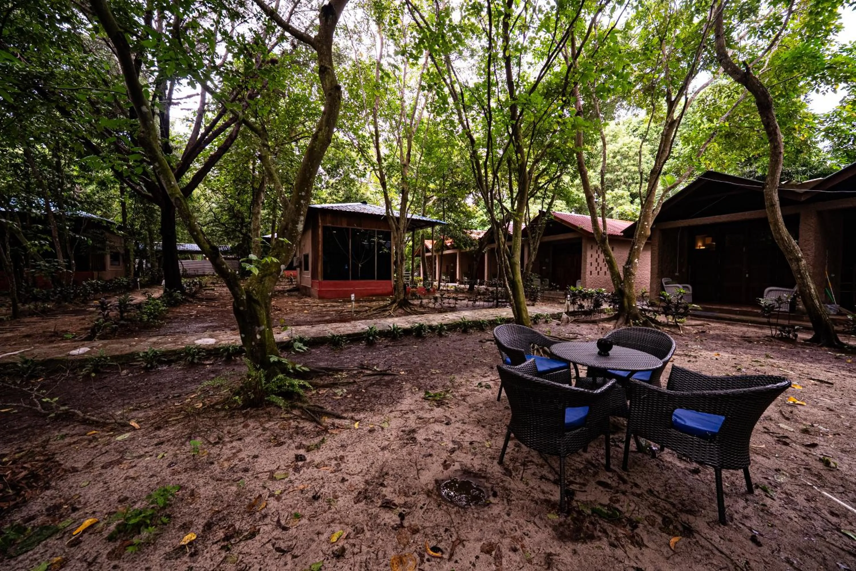 Garden view in The DIVEResort and Dancing Dugong Cafe