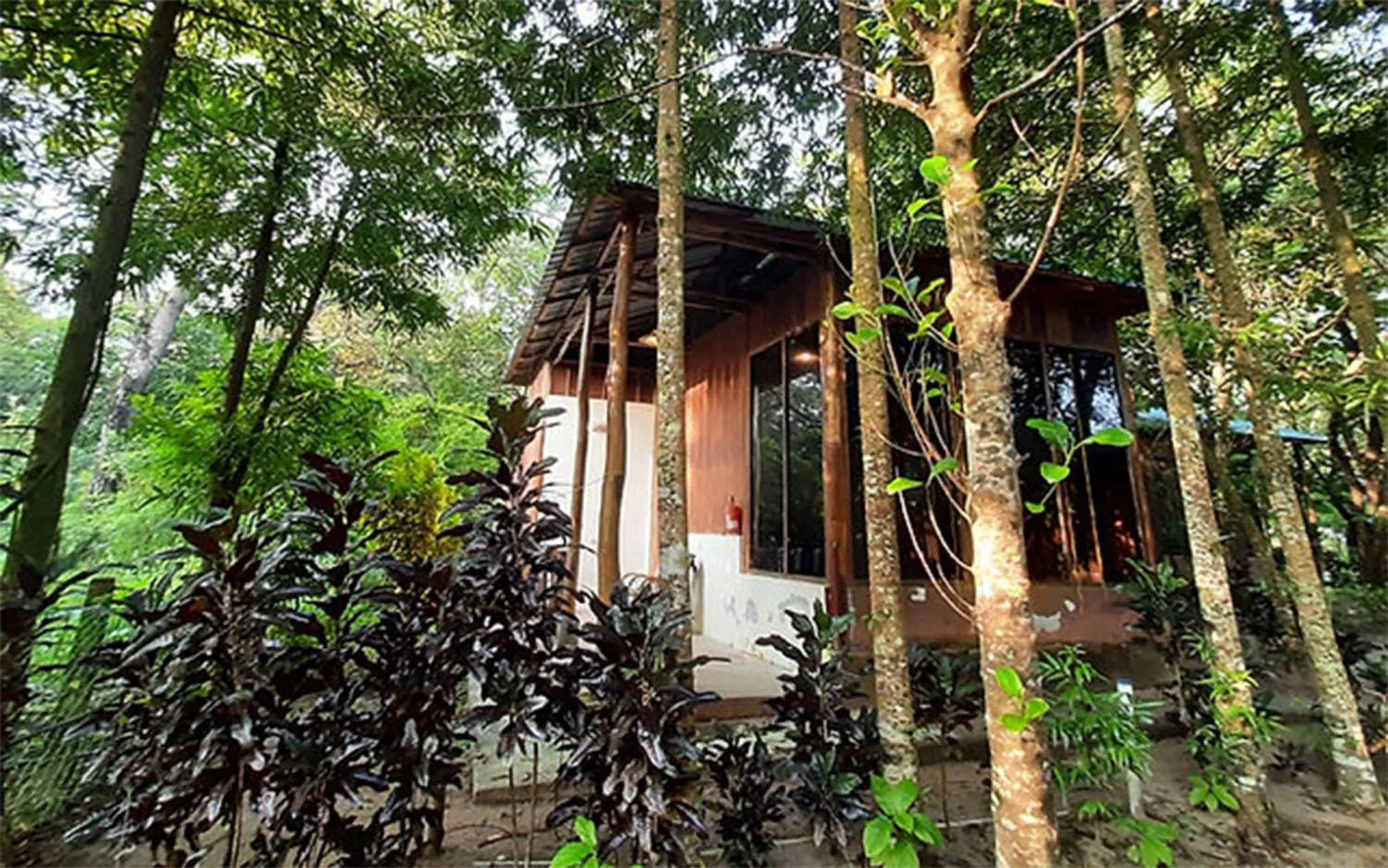 Day in The DIVEResort and Dancing Dugong Cafe