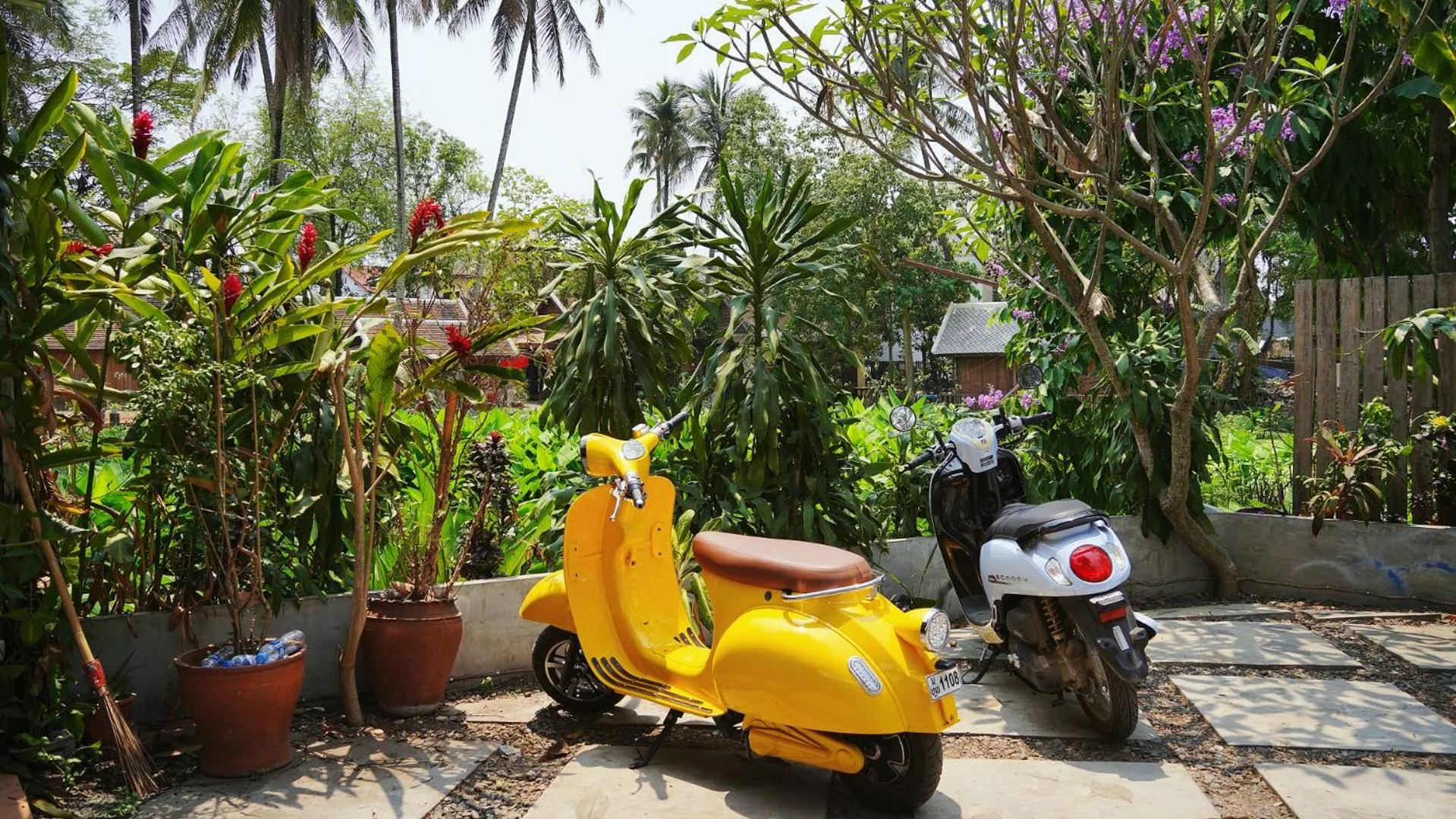 Garden view in Villa KiengKham晶康民宿
