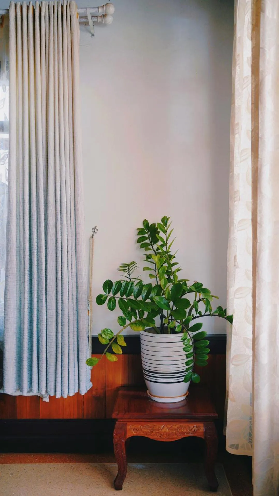 Property logo or sign in Villa KiengKham晶康民宿