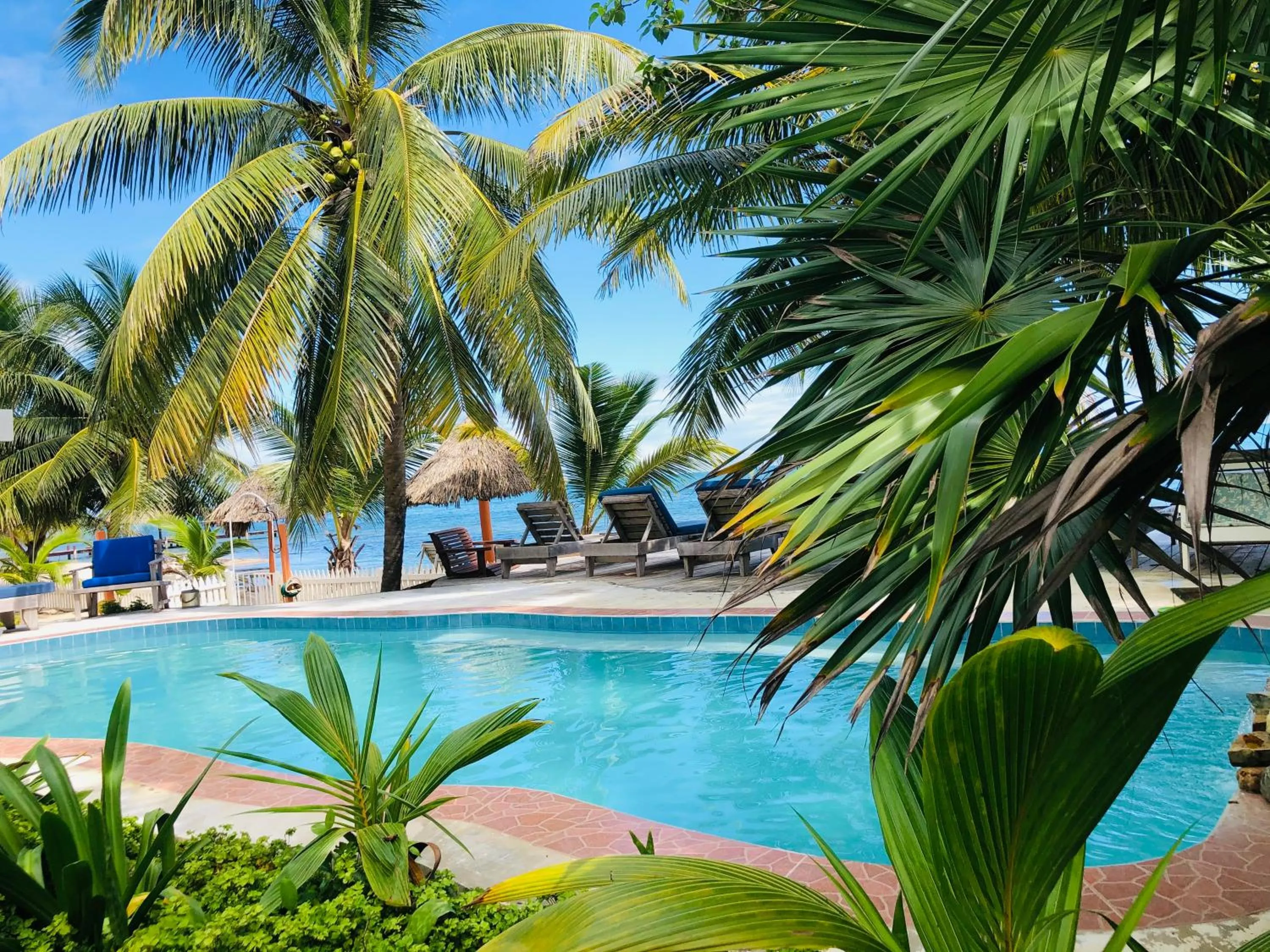 Natural landscape in Coral Cove Inn