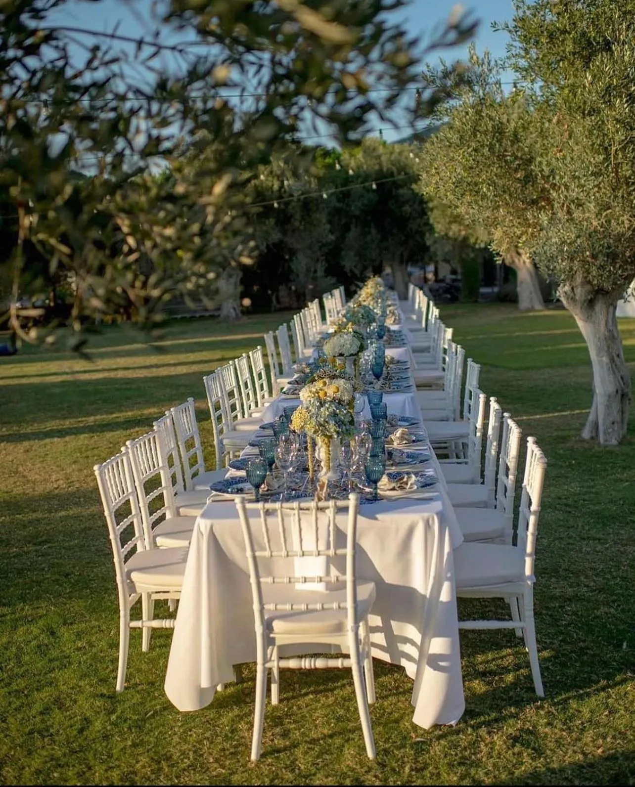 Garden in Zaira Hotel