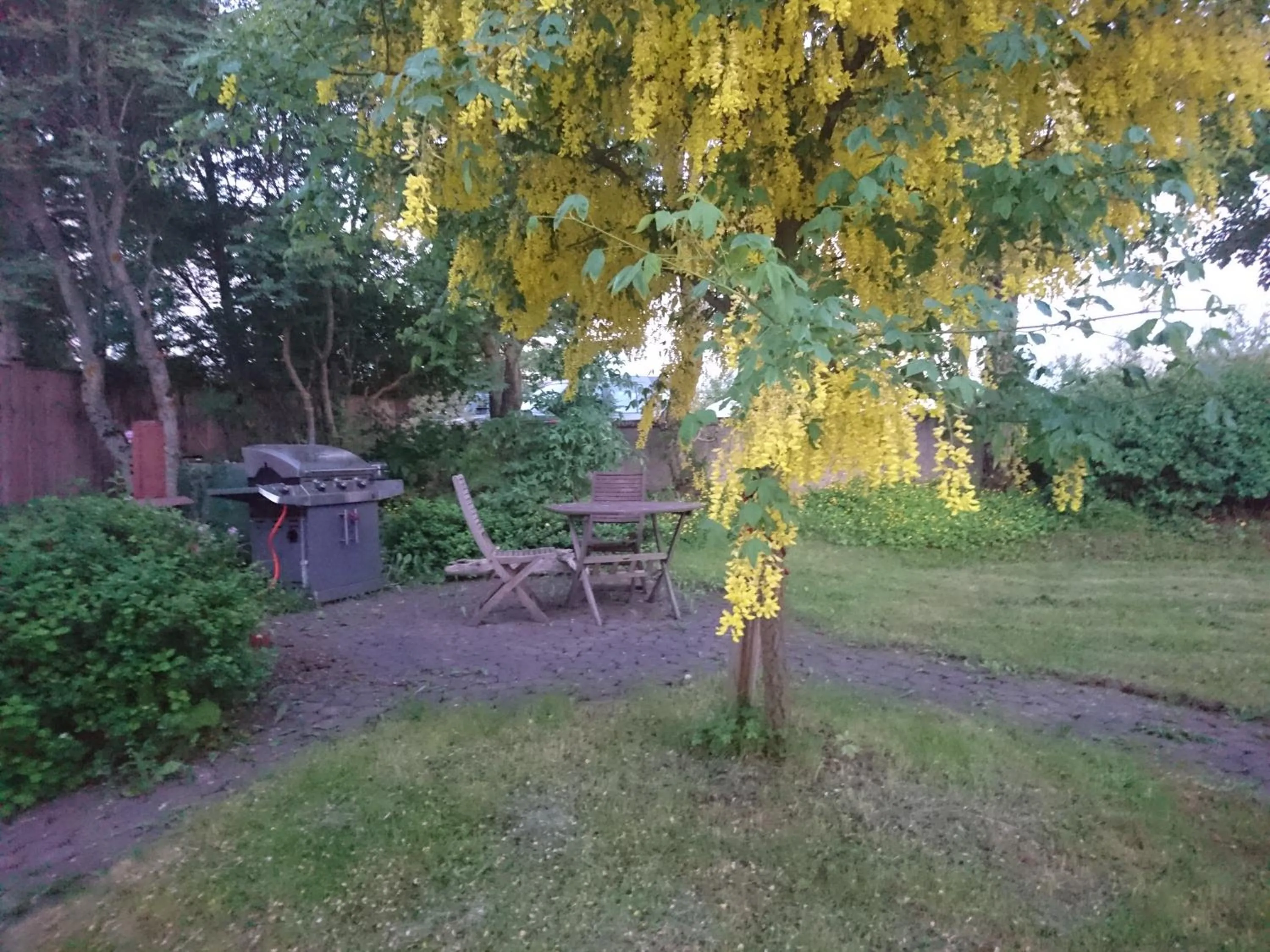 Garden in Alba Guesthouse