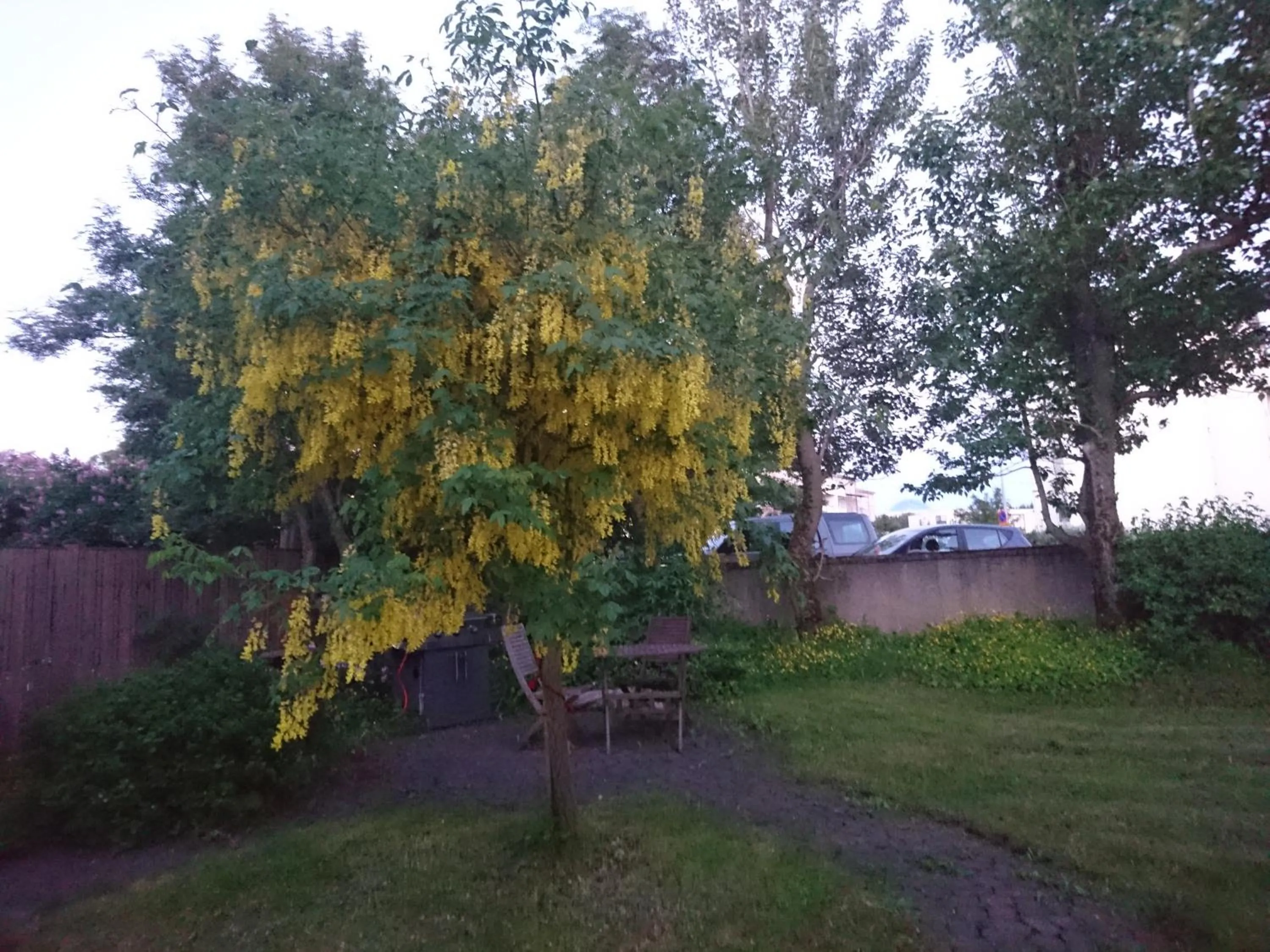 Garden in Alba Guesthouse
