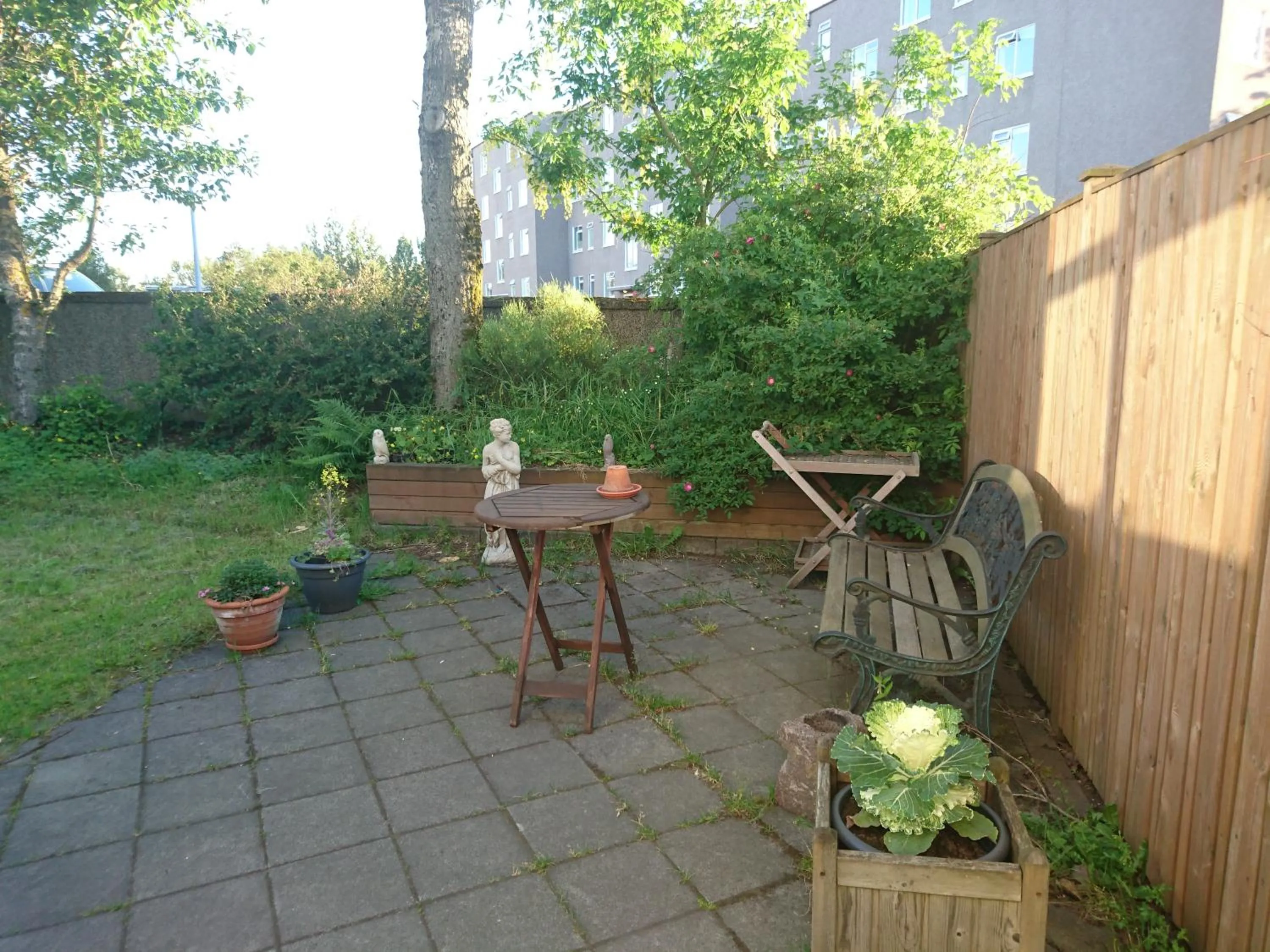 Garden in Alba Guesthouse