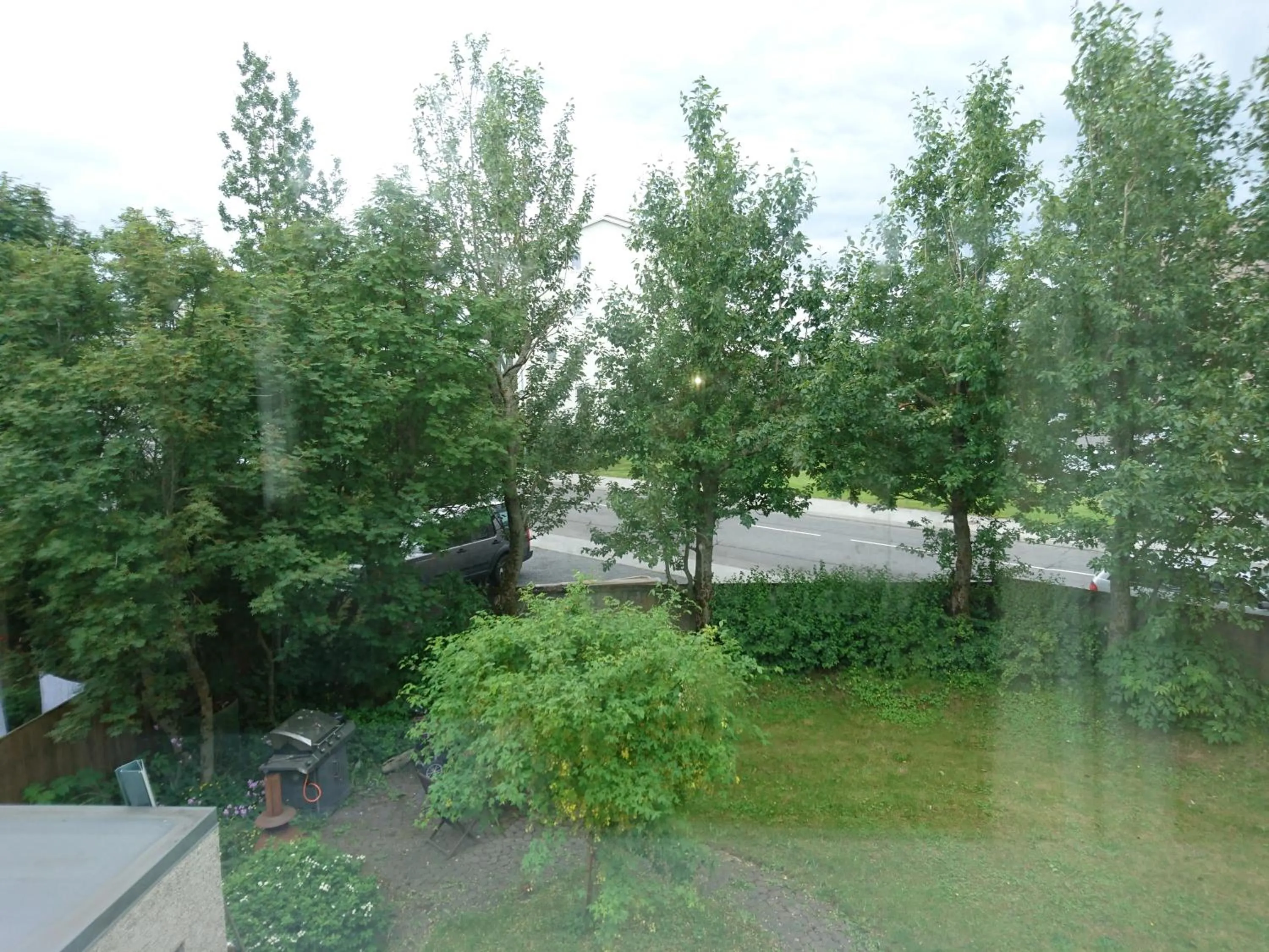 Garden view in Alba Guesthouse