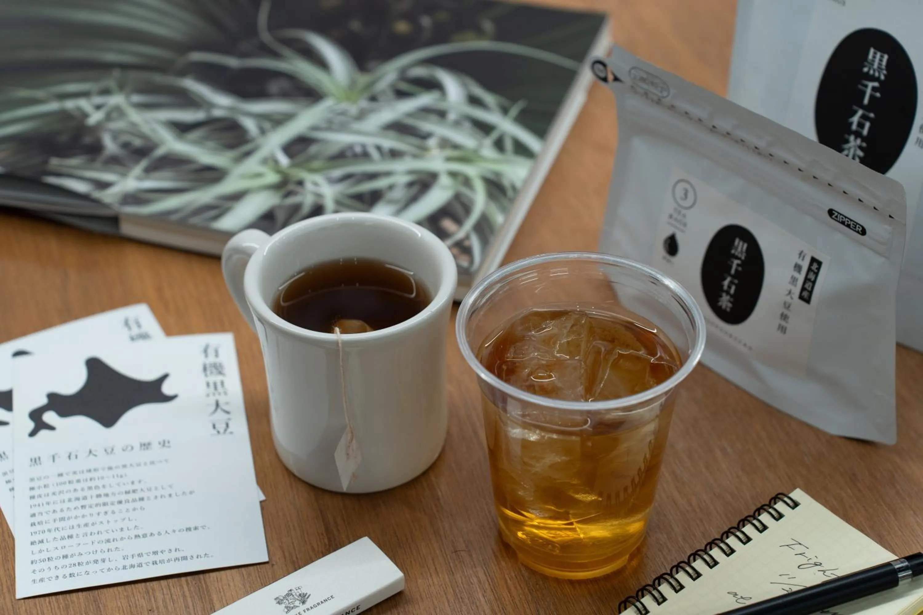 Area and facilities in HELIO HOSTEL SAPPORO