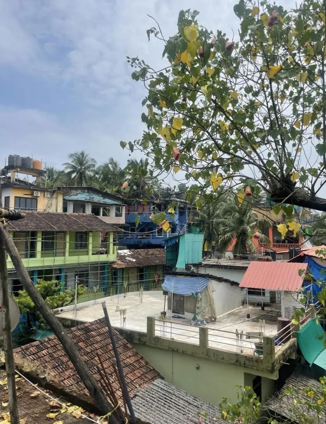 View (from property/room) in 12 Monks - Beachfront Hostel View (from property/room) in 12 Monks - Beachfront Hostel