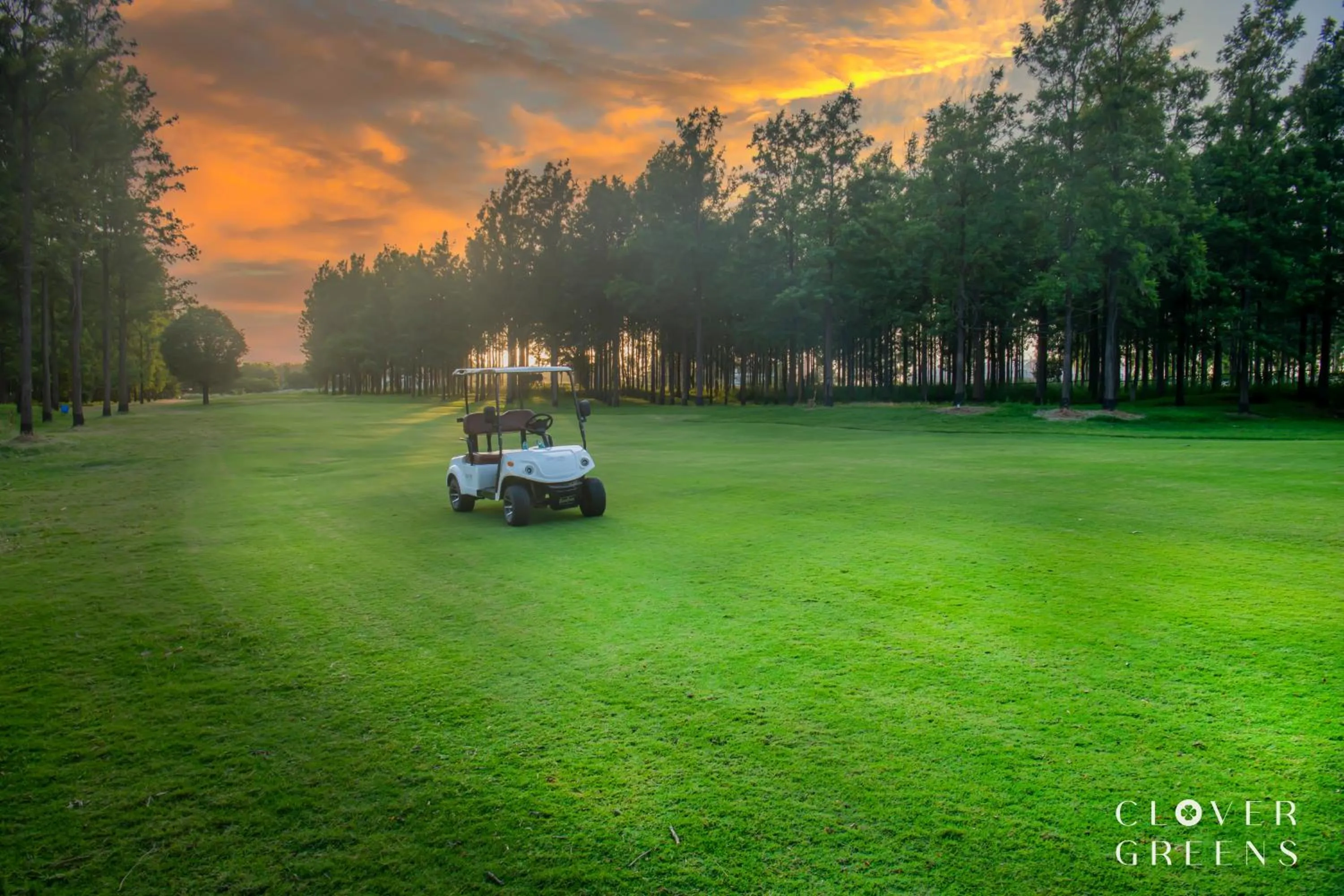 Golfcourse in Clover Greens Golf Course and Resort