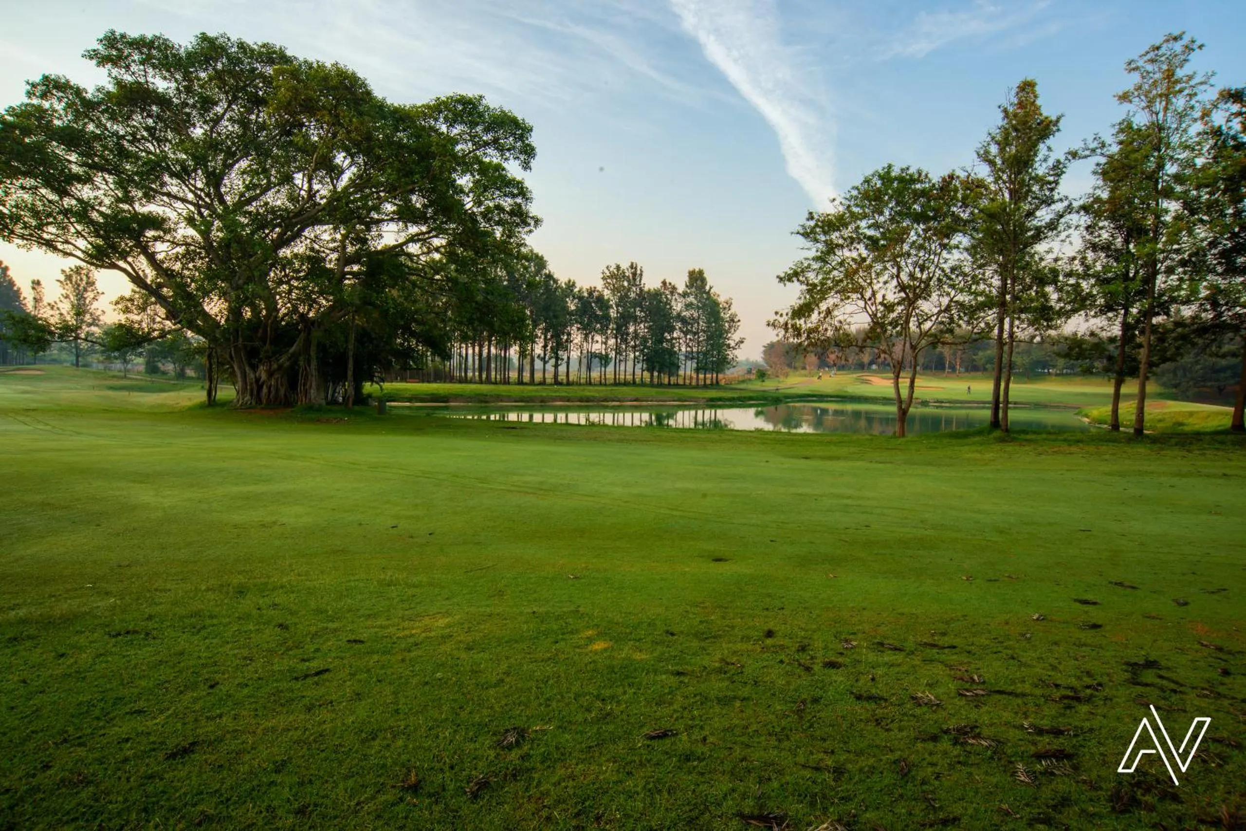 Golfcourse in Clover Greens Golf Course and Resort