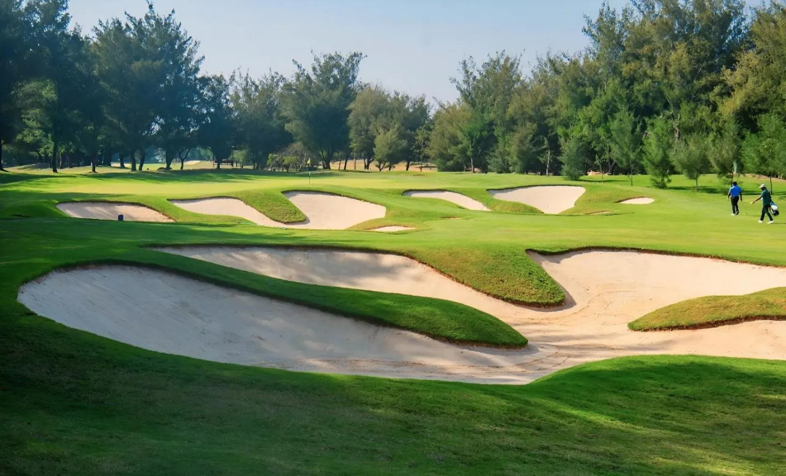 Golfcourse in Clover Greens Golf Course and Resort