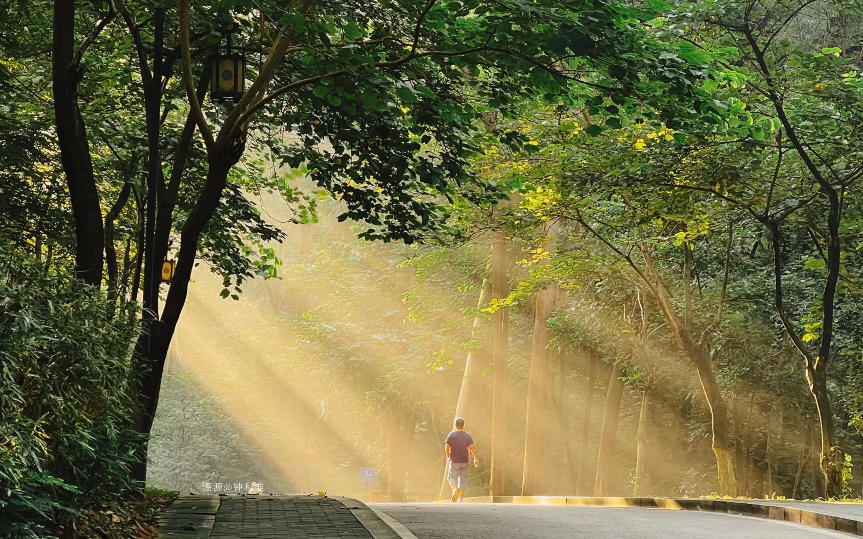 Other in Dongguan Forum Hotel and Apartment - Former Pullman hotel Dongguan Forum