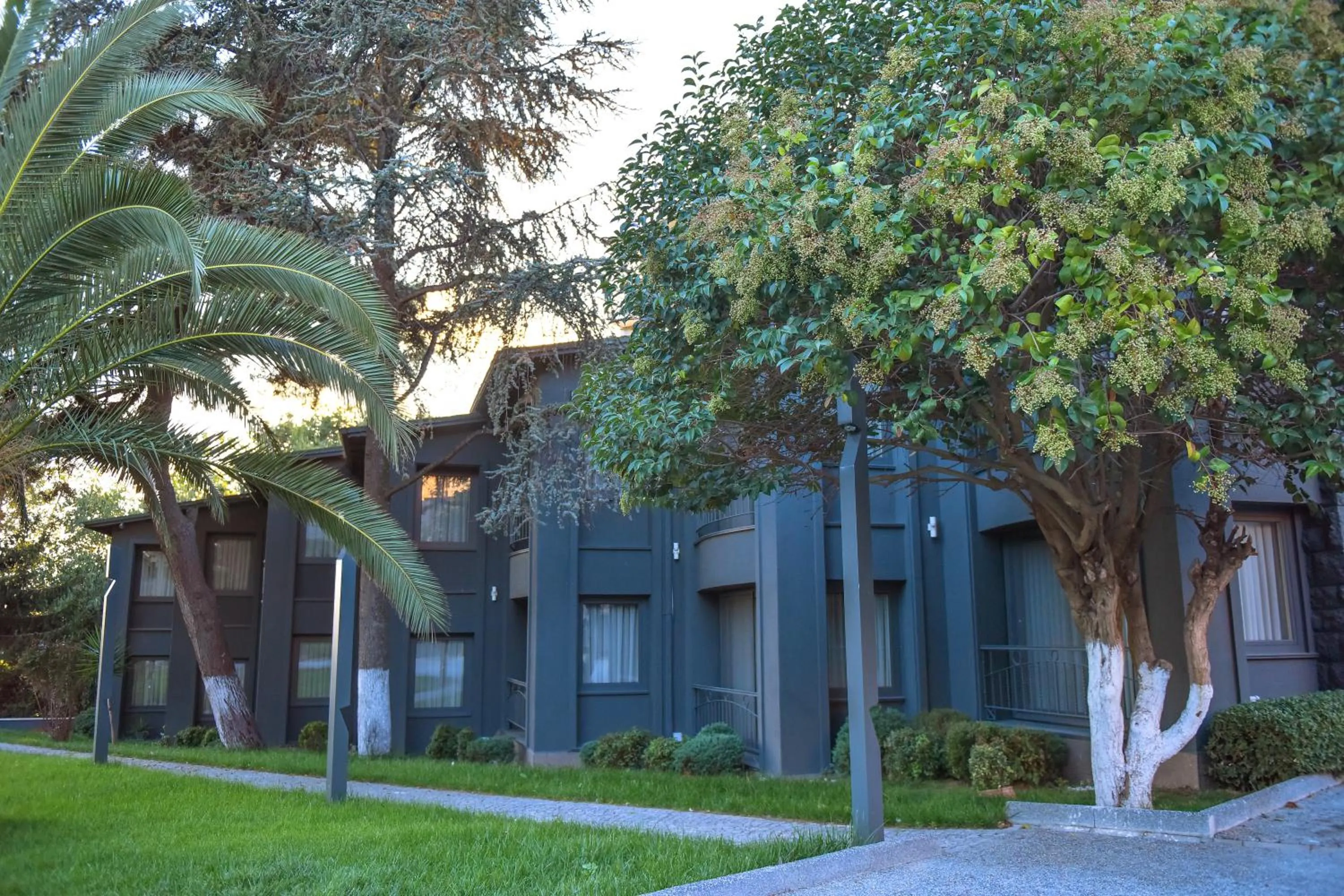 Denizatı Plus Hotel