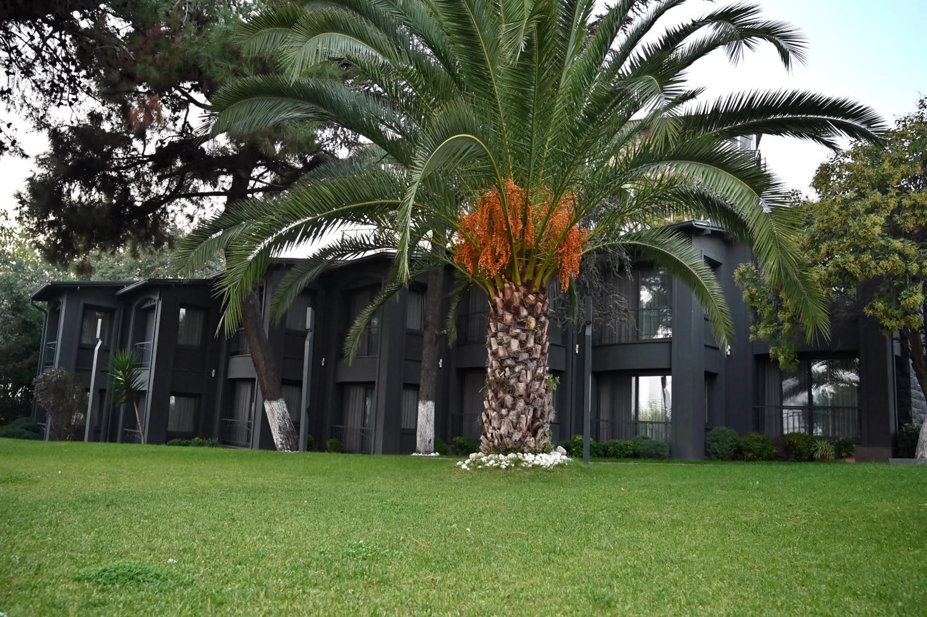 Denizatı Plus Hotel