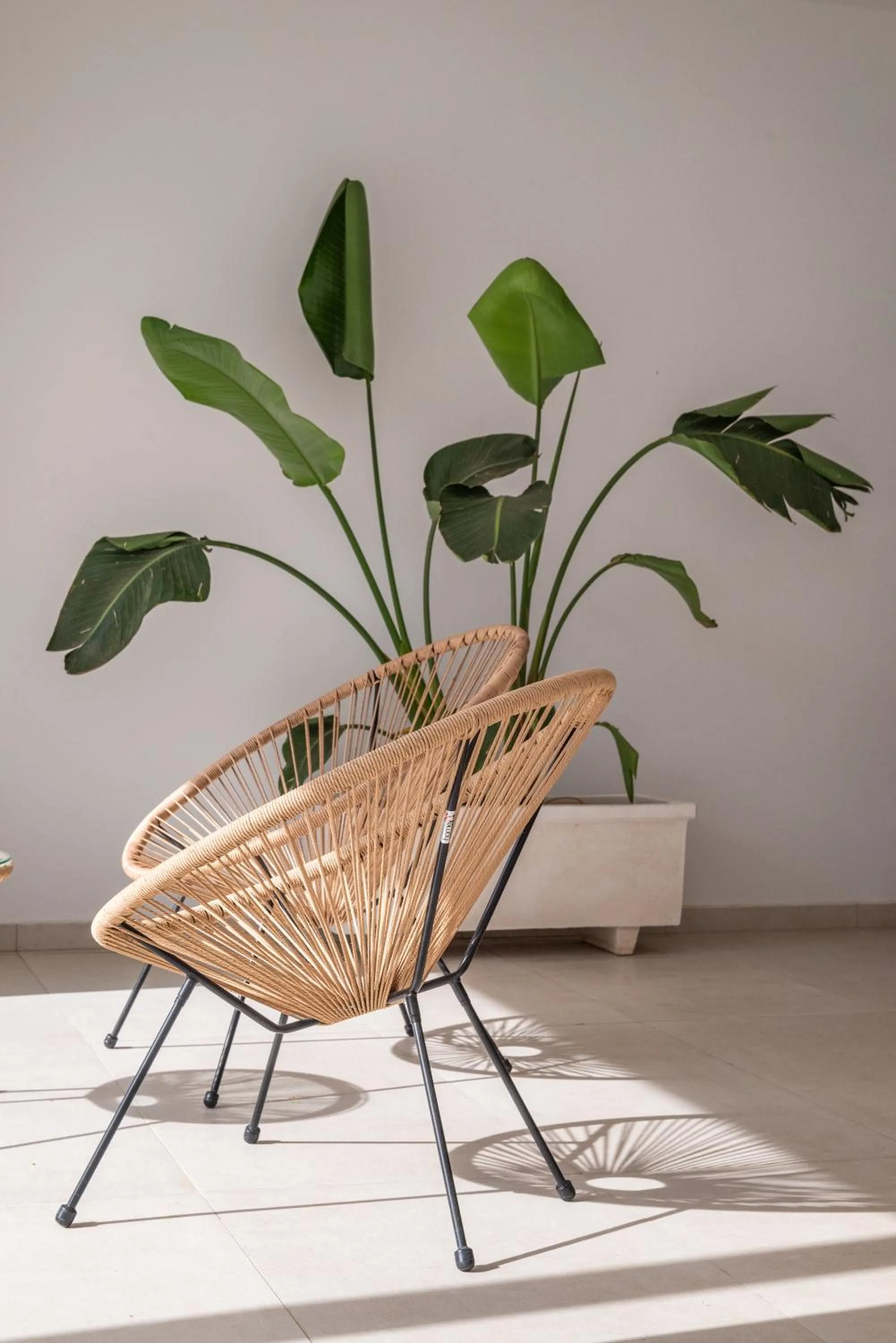 Decorative detail in Paralos Kyma Dunes Adults Only