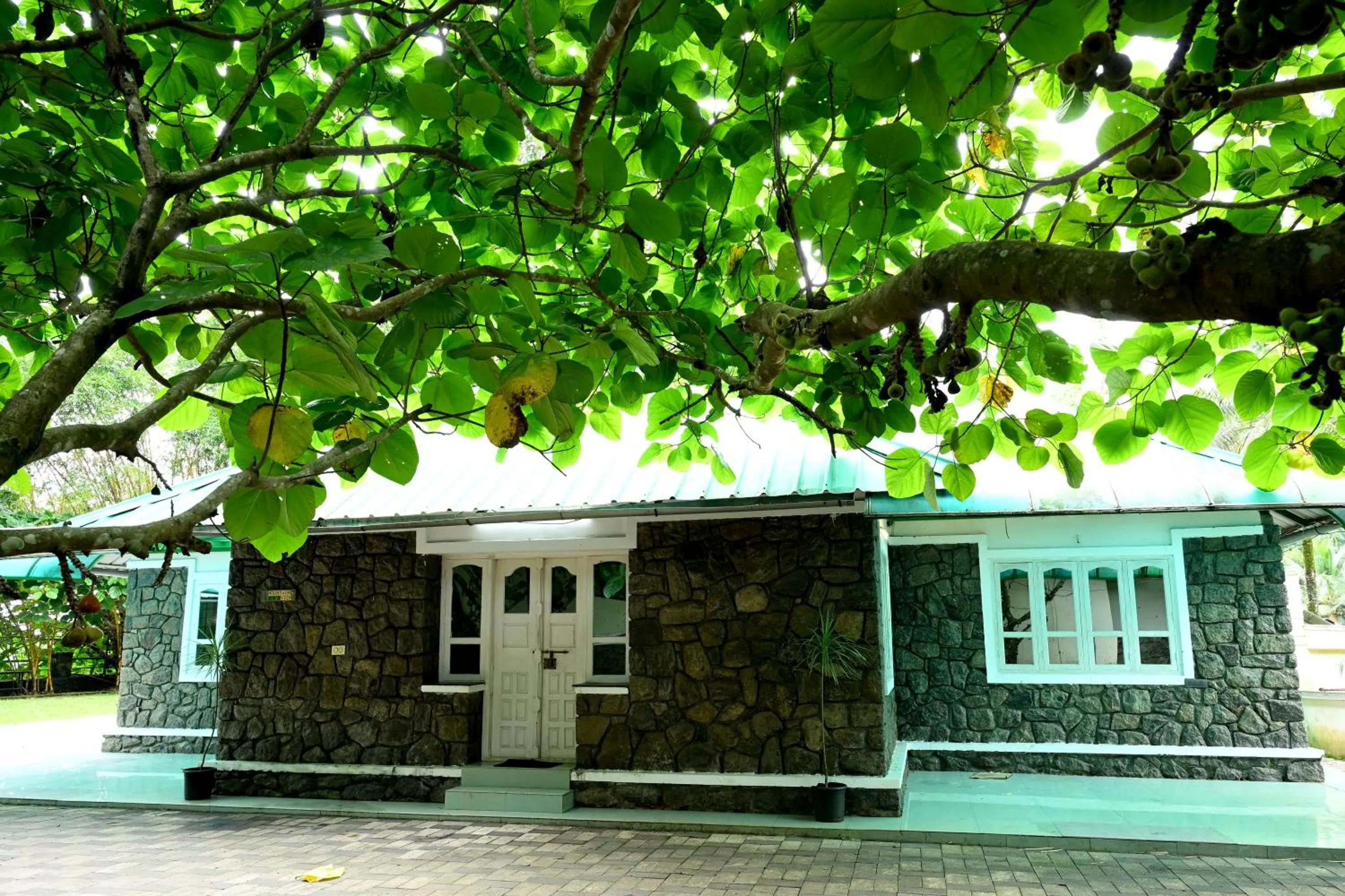 Property building in Spring Muunnar, Munnar