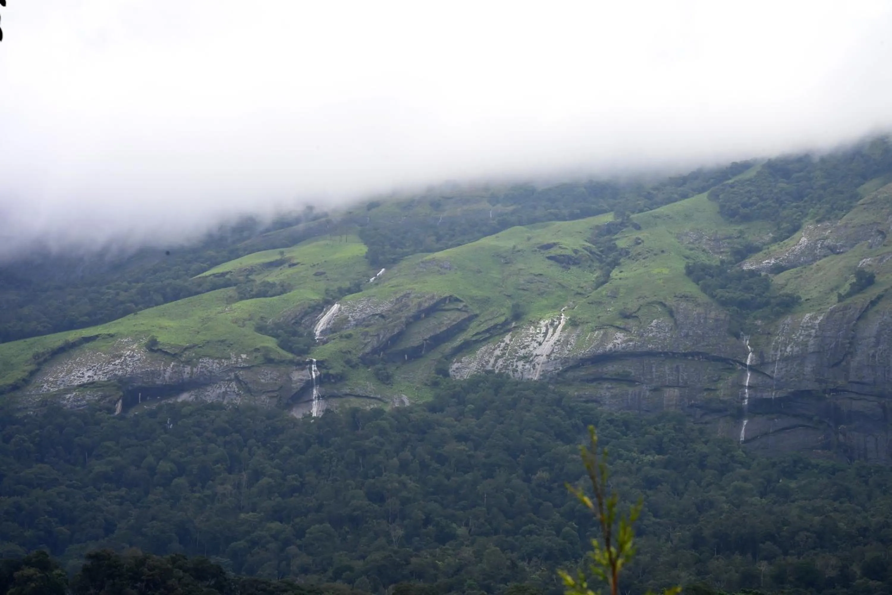 View (from property/room) in Spring Muunnar, Munnar
