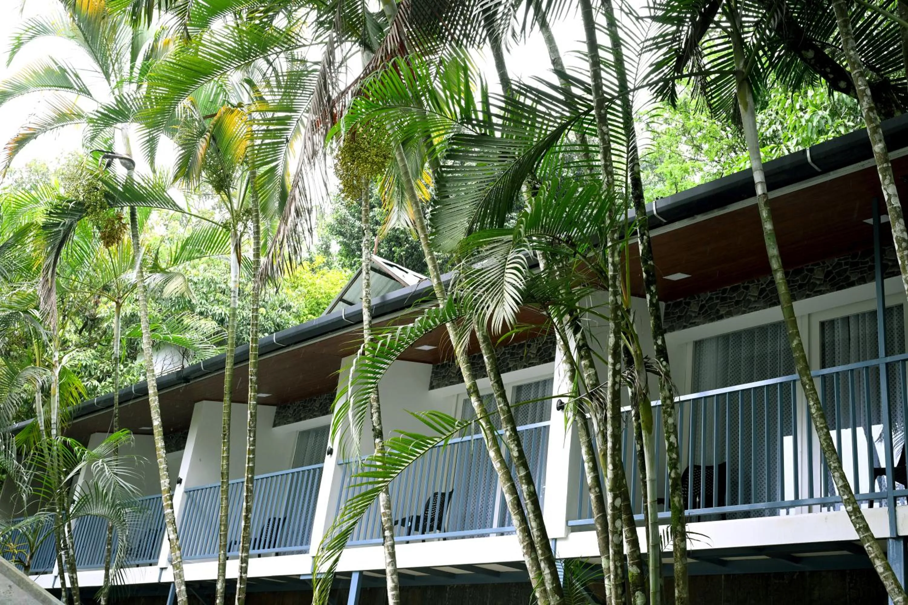 Property building in Spring Muunnar, Munnar