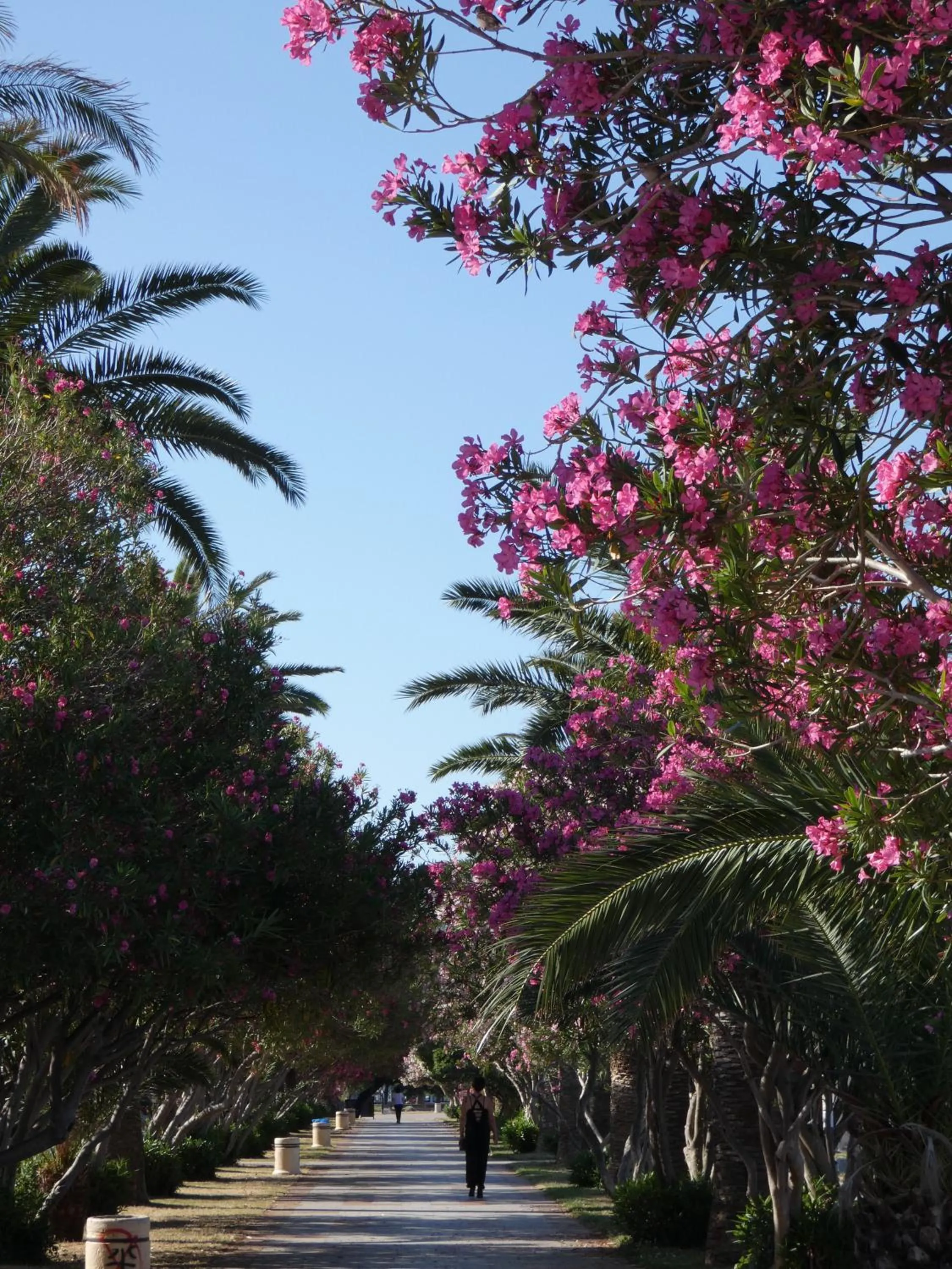 Spring in Hotel Princess