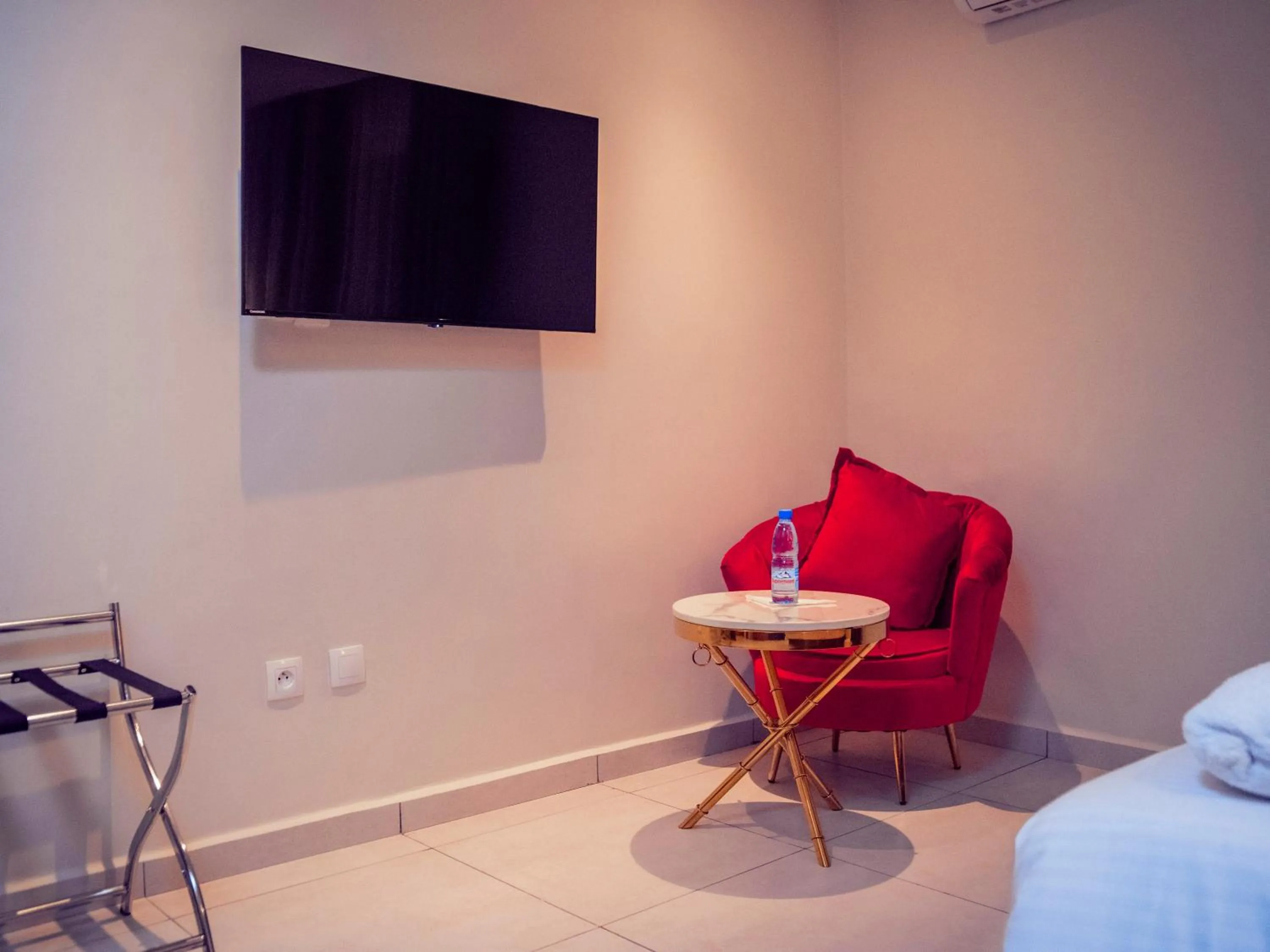 TV and multimedia in Geneva Hotel