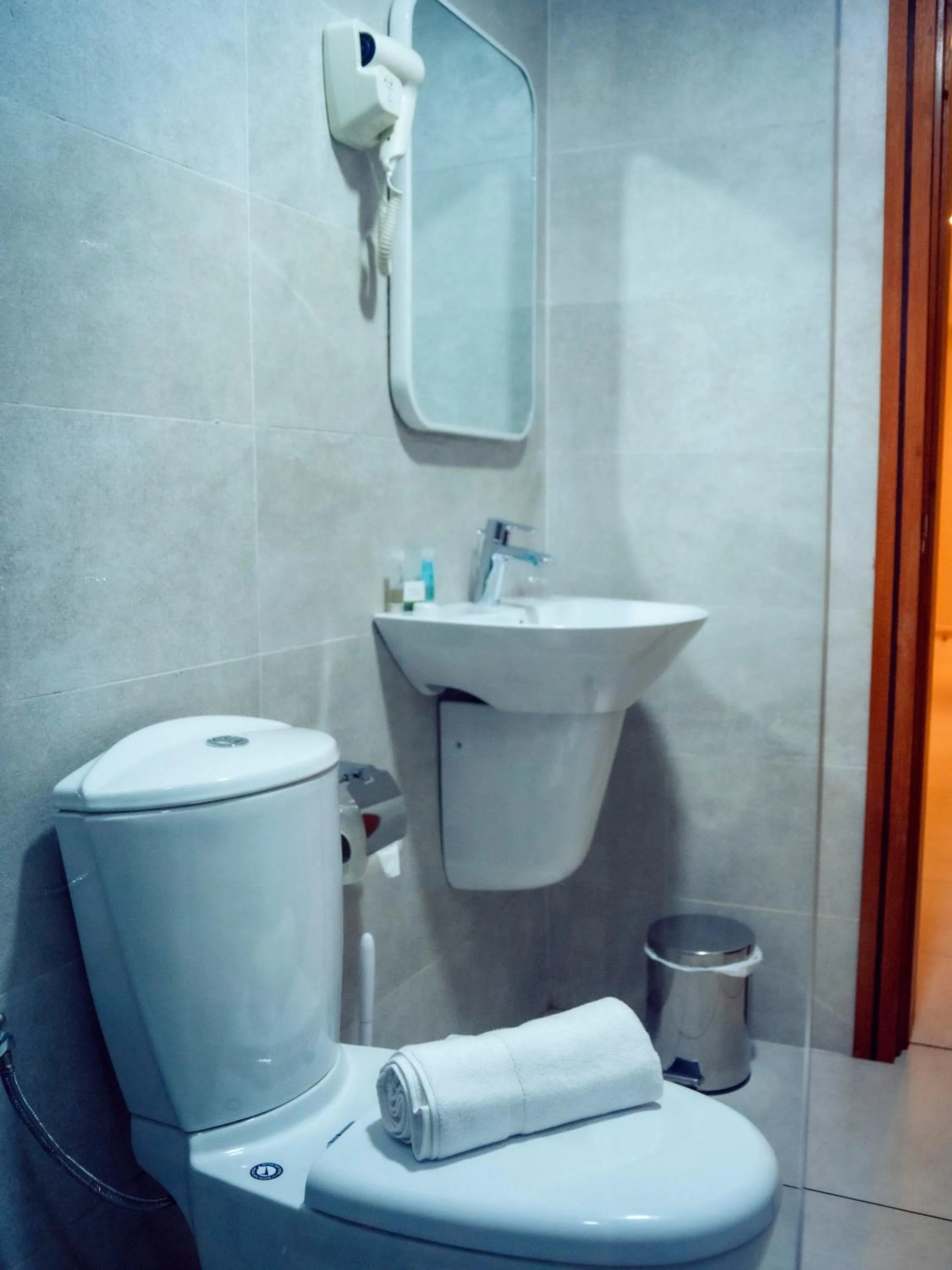 Toilet in Geneva Hotel