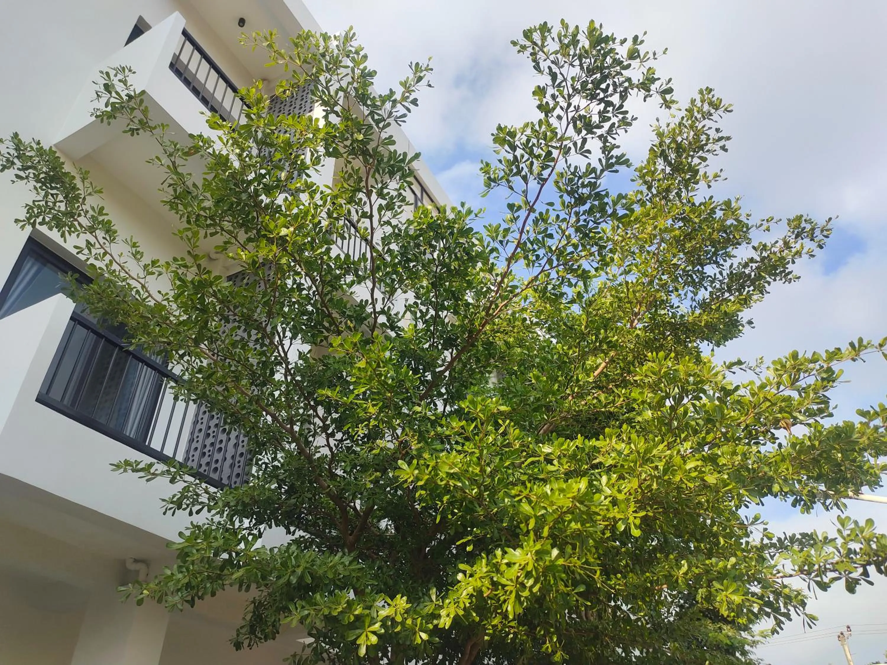 Property building in H&M Boutique