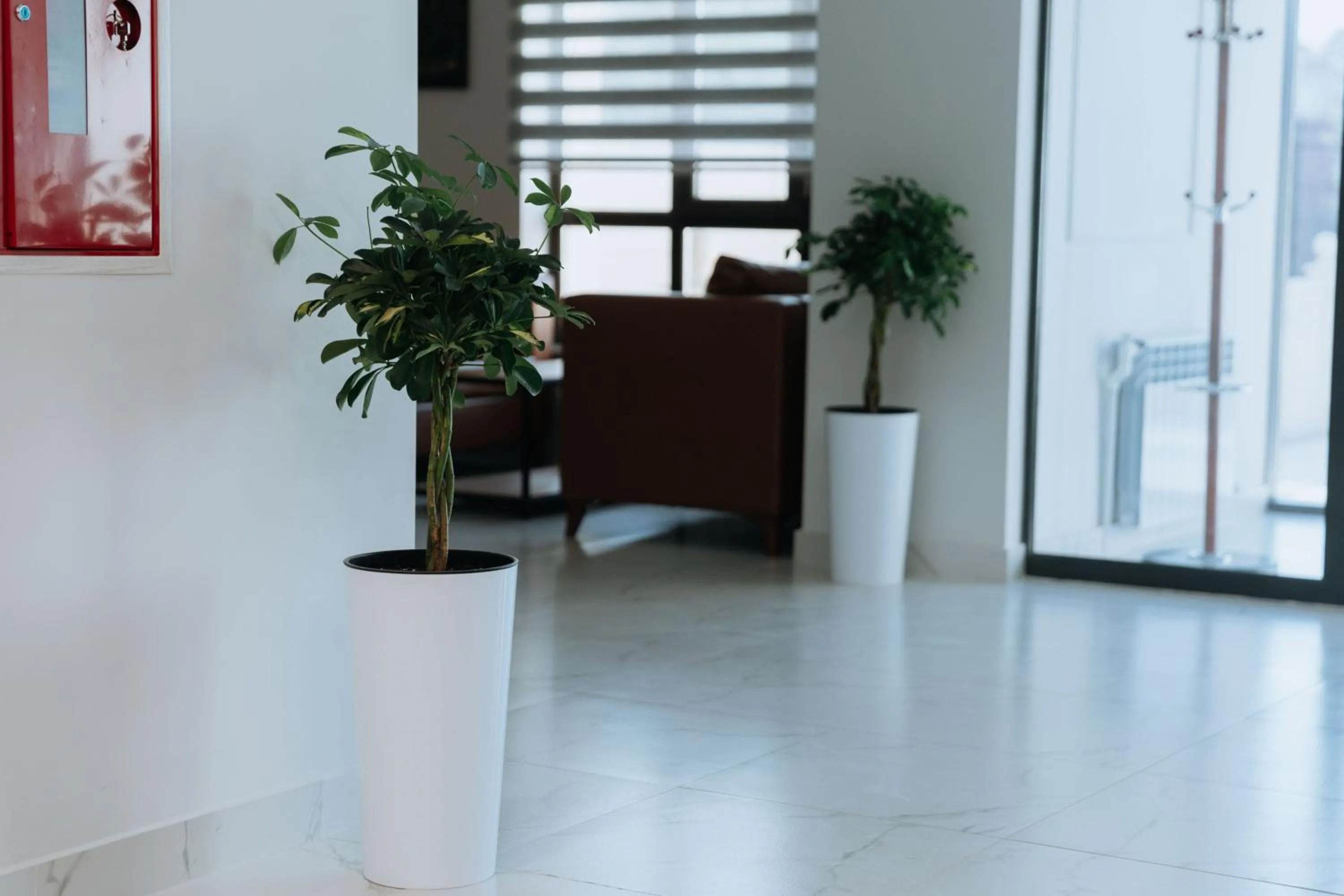 Living room in Aisha Hotel