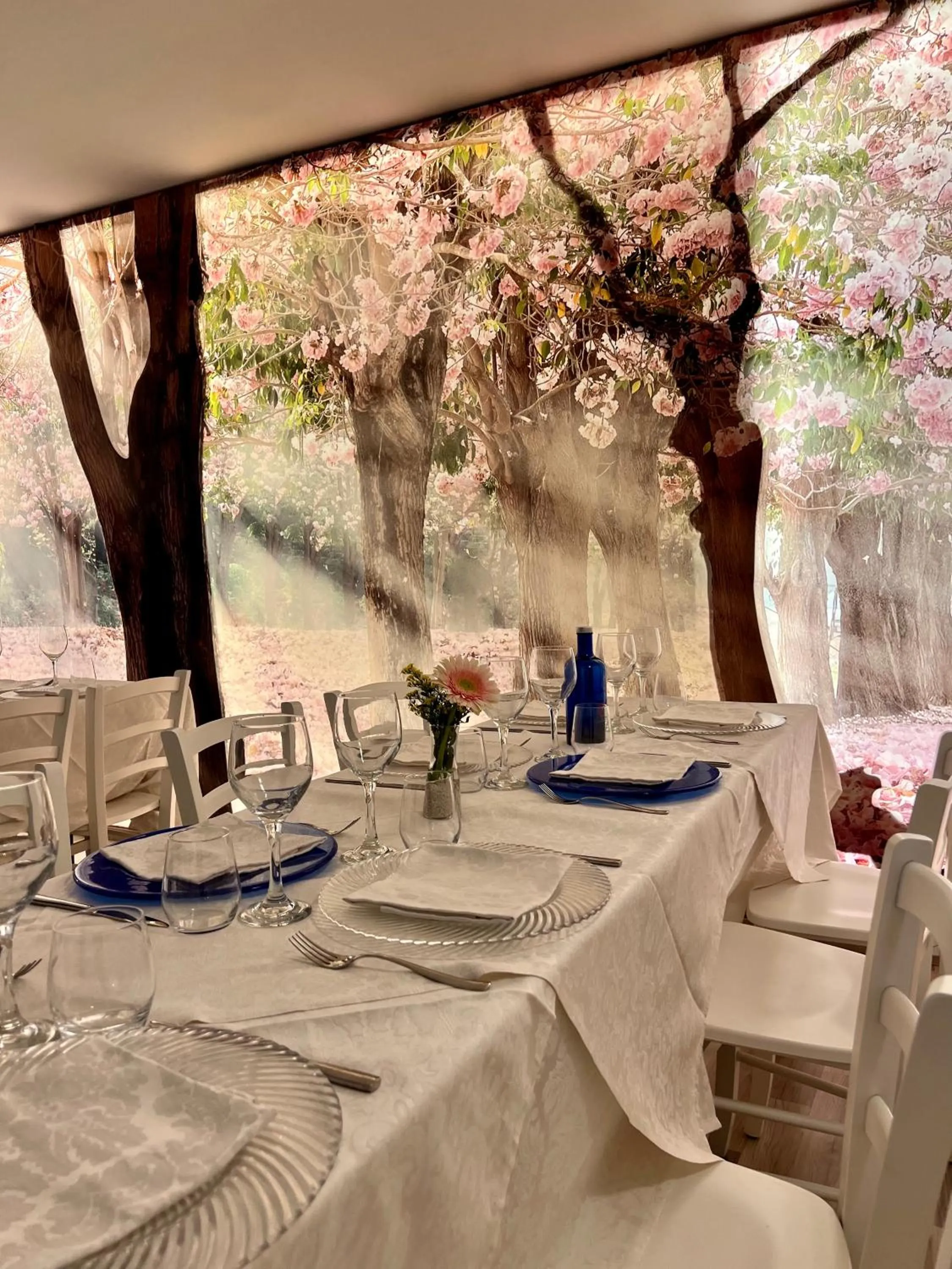 Restaurant/places to eat in Hotel Joli