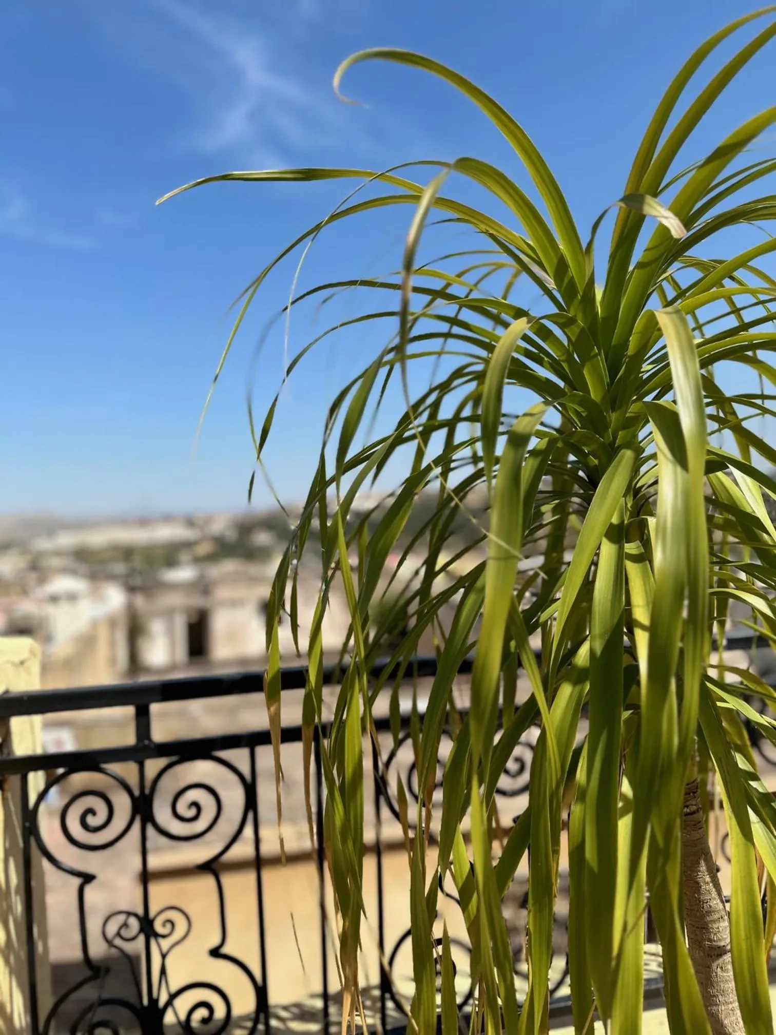 View (from property/room) in Riad Damia Suite & Spa