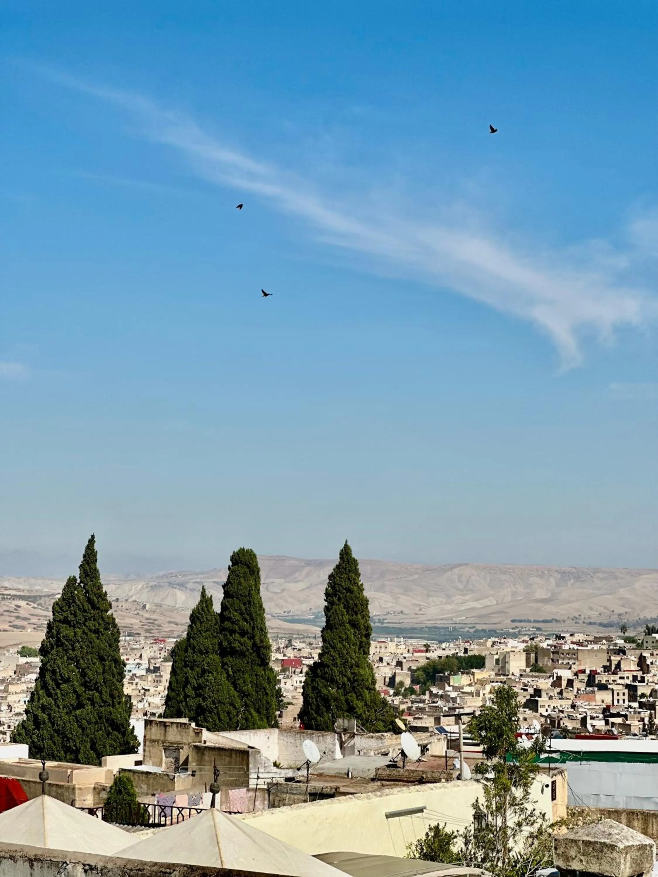 Balcony/Terrace in Riad Damia Suite & Spa