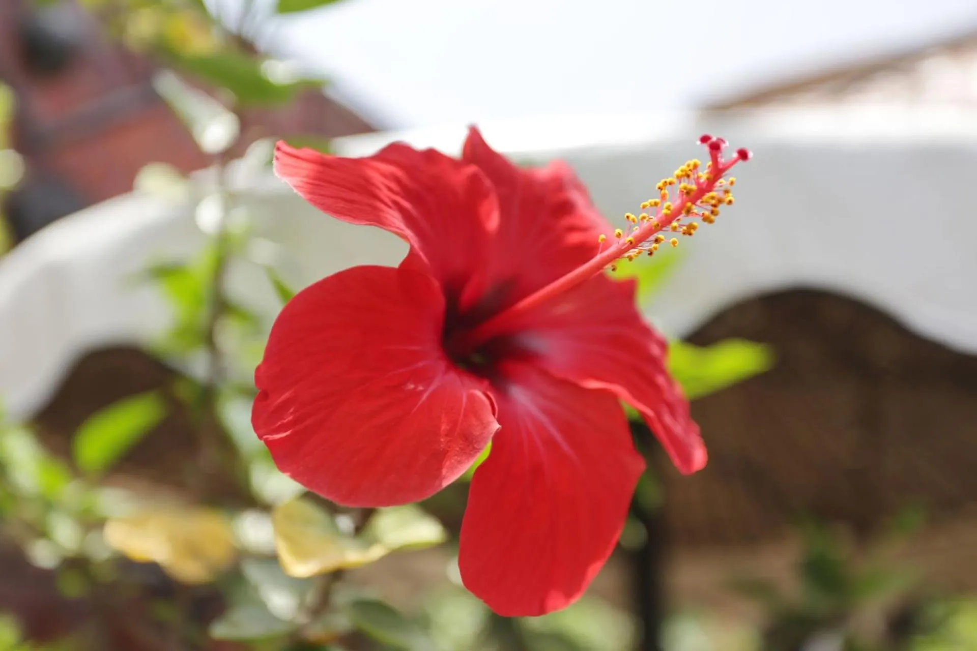 Property building in Dar Najat