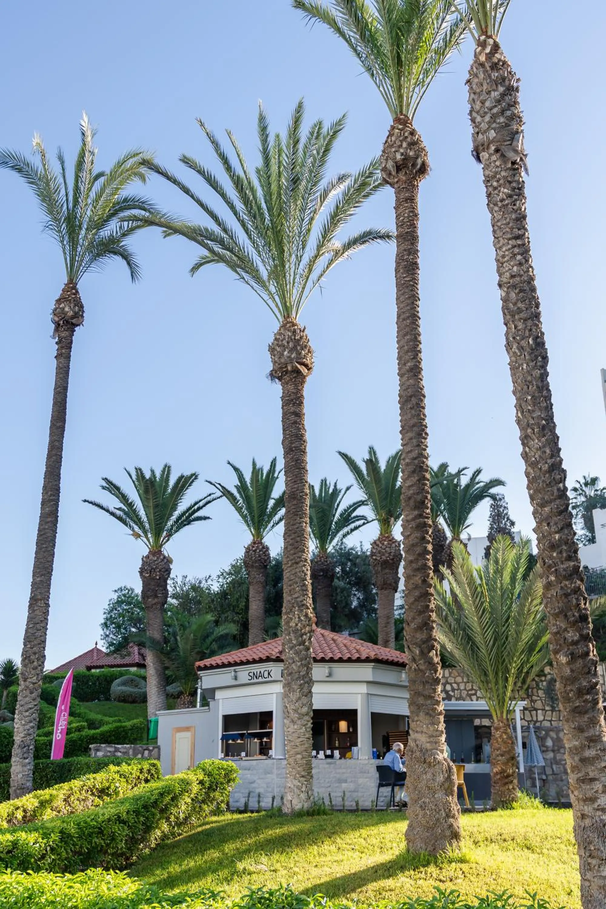 Lounge or bar in TUI SUNEO Kenzi Europa