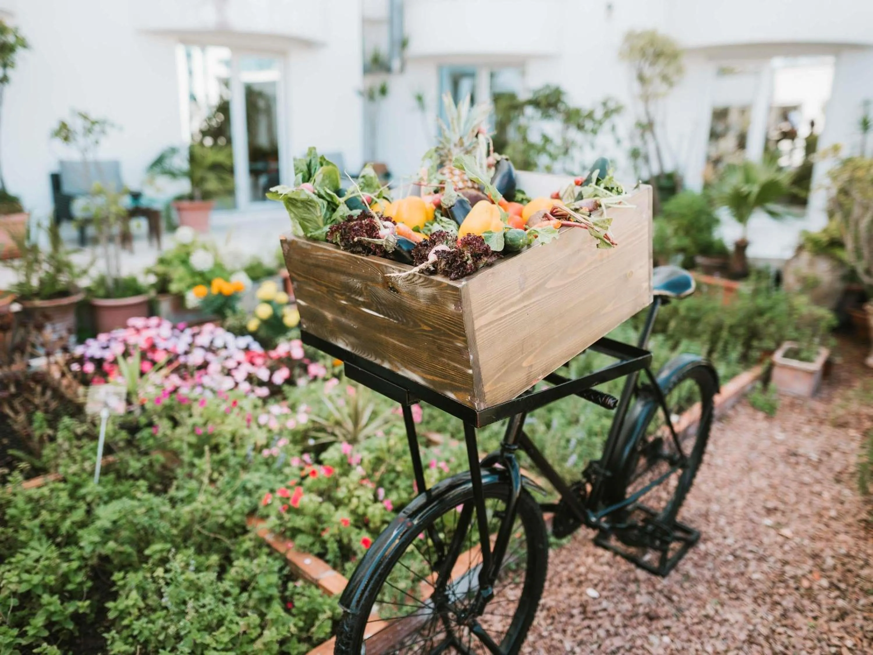 Restaurant/places to eat in Le Diwan Hotel Rabat - MGallery Collection