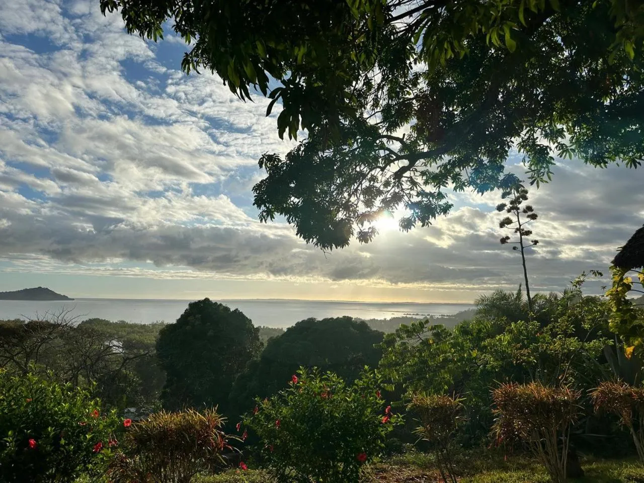 View (from property/room) in WINGS HOTELS