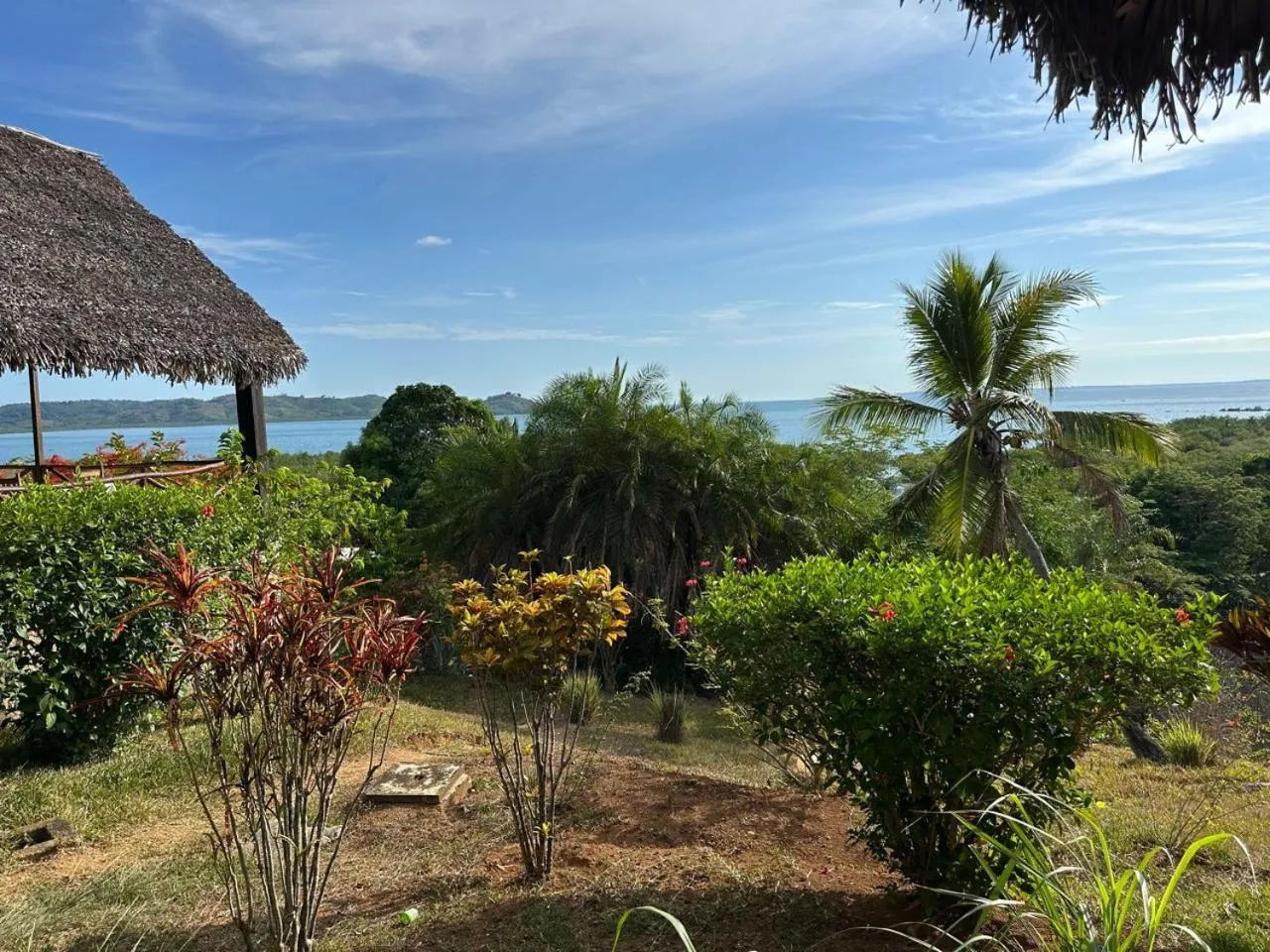 Garden in WINGS HOTELS