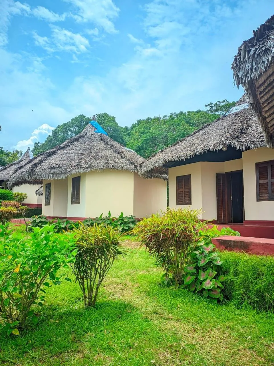 Property building in WINGS HOTELS