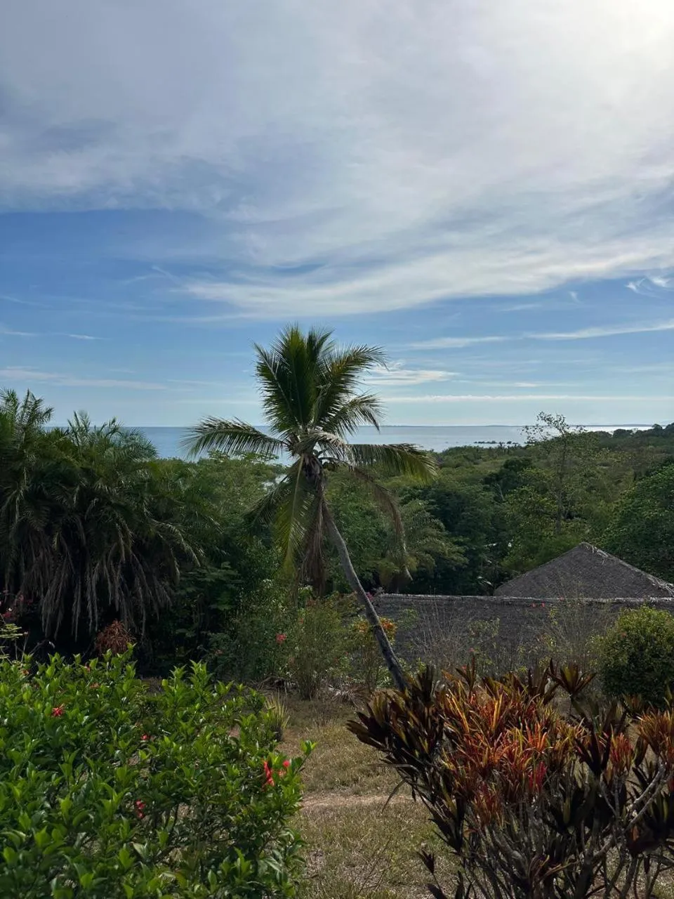 Sea view in WINGS HOTELS