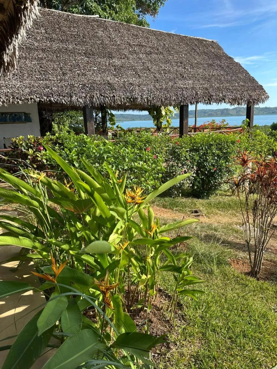 Natural landscape in WINGS HOTELS