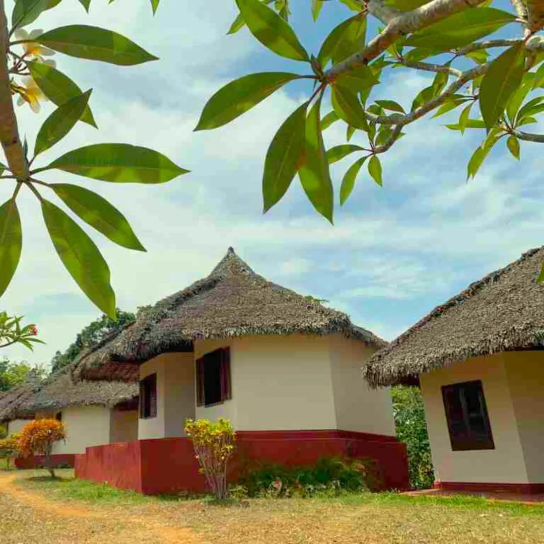 Property building in WINGS HOTELS