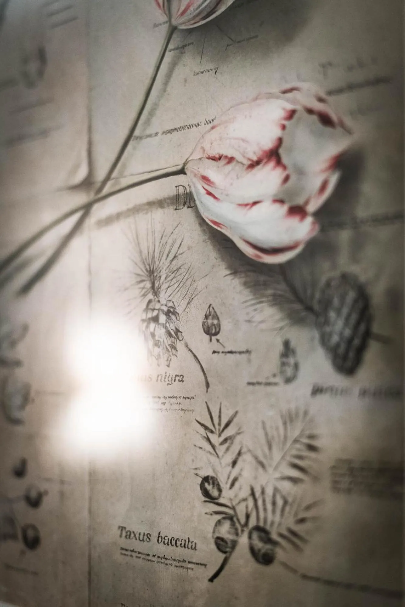 Bedroom in Clos Saint Sulpice