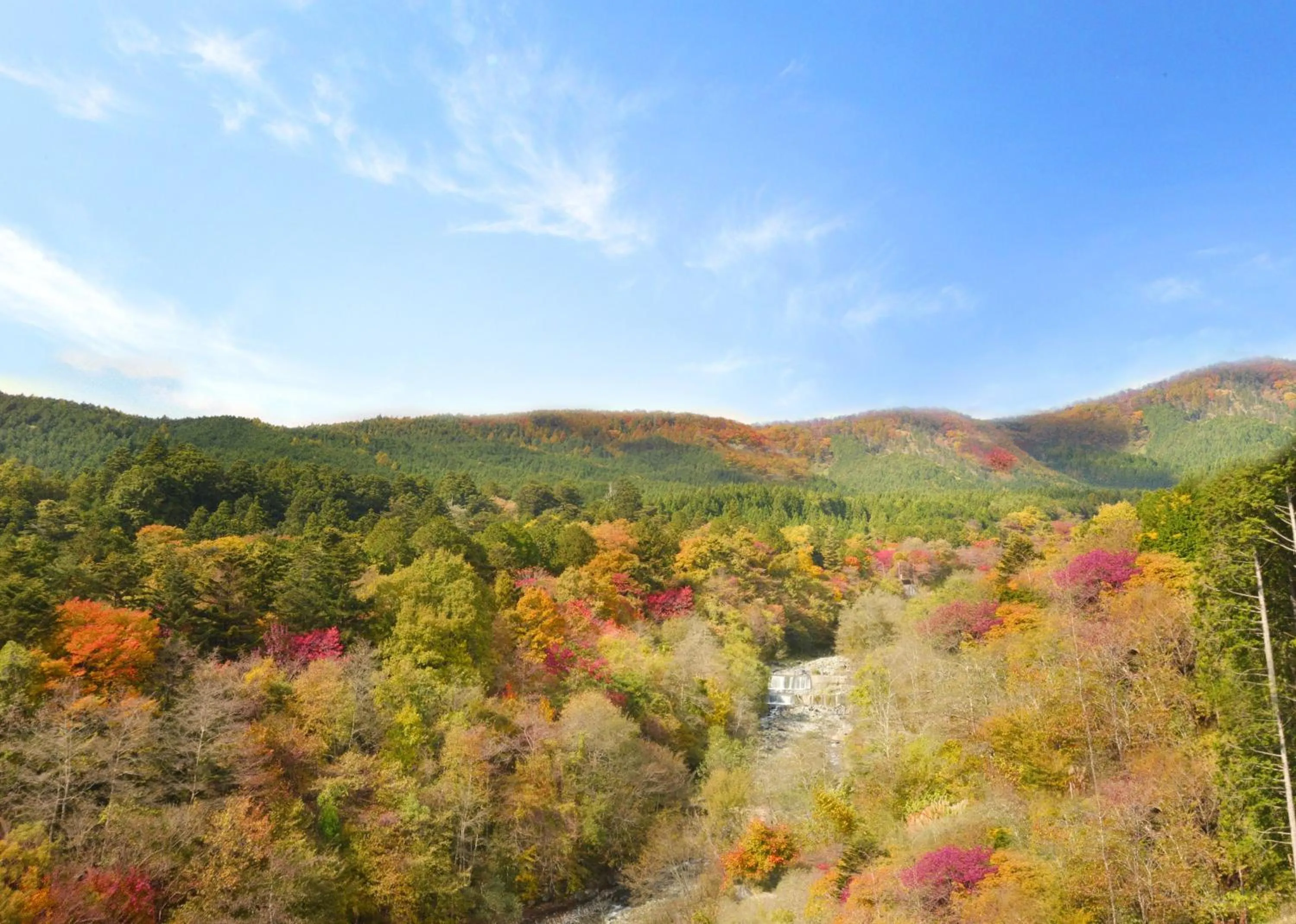 Natural landscape in Shelter Garden Nikko