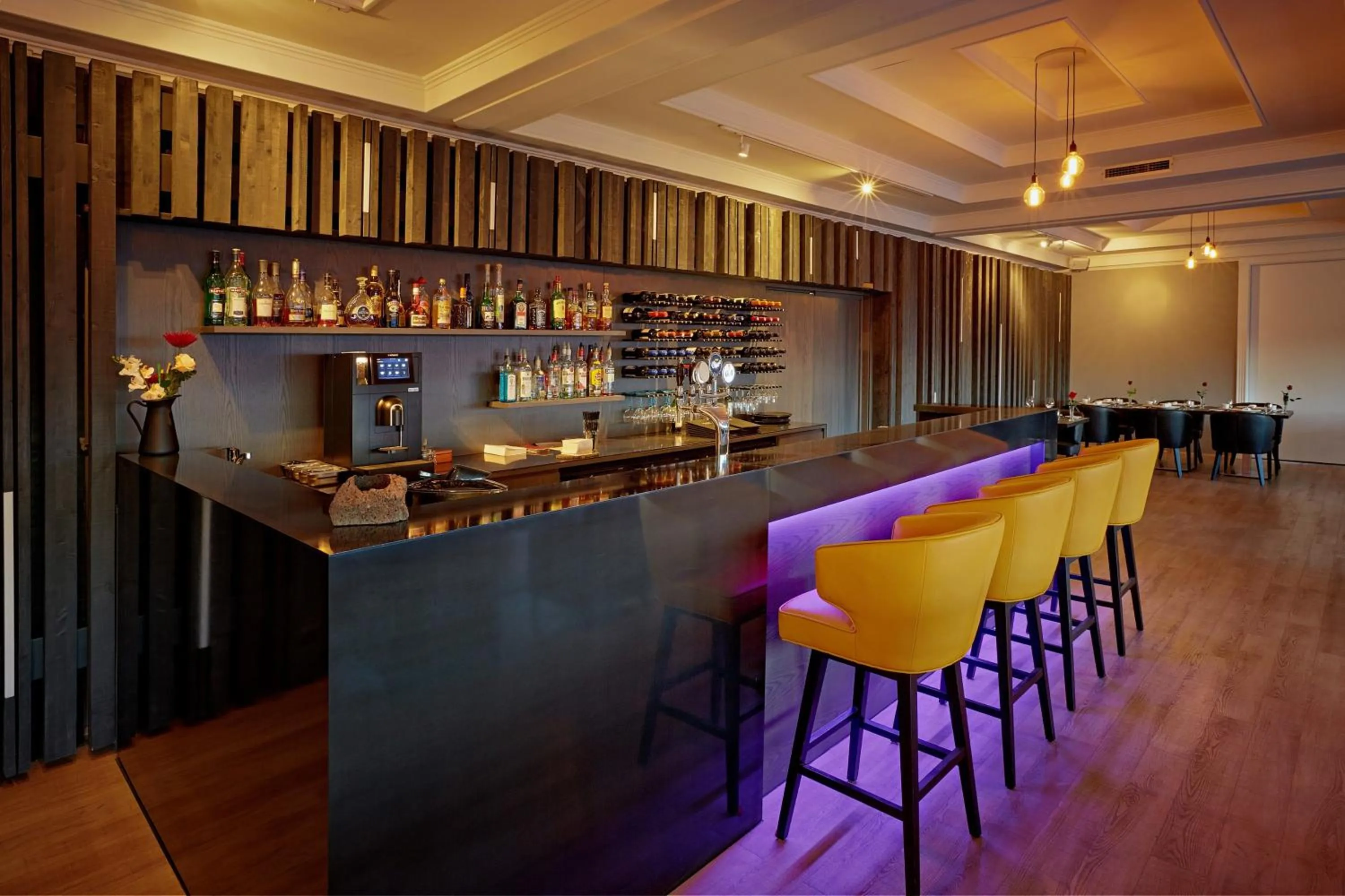 Lounge or bar in Hotel Örk