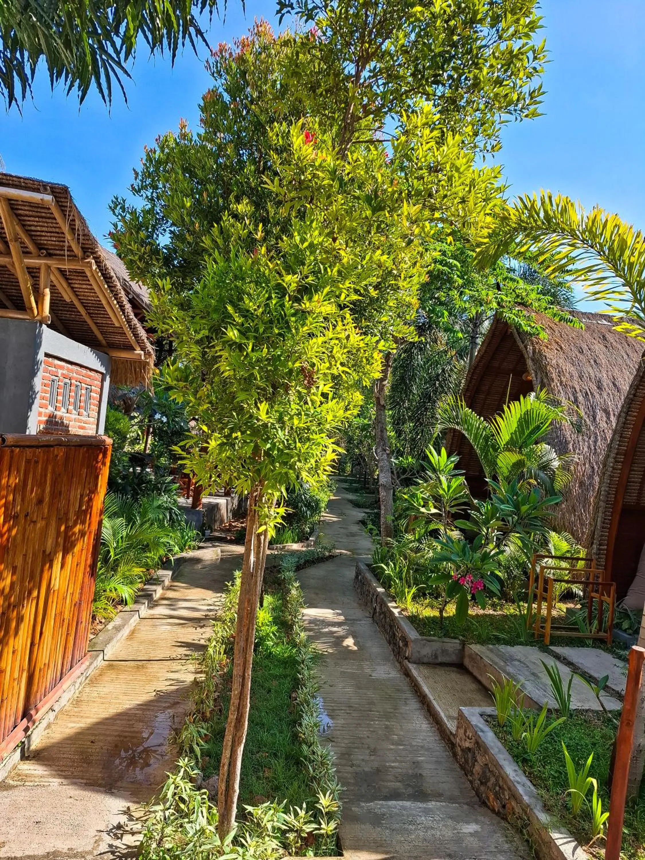 Garden view in RaCottage Mandalika